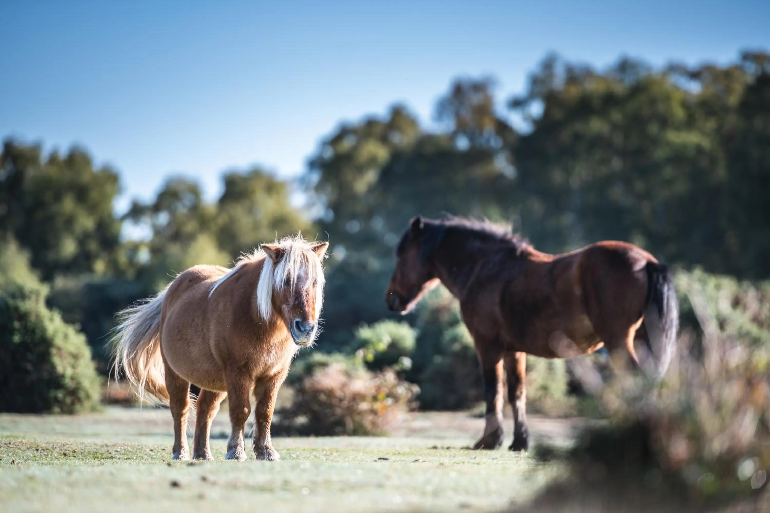 Other in Beaulieu Hotel