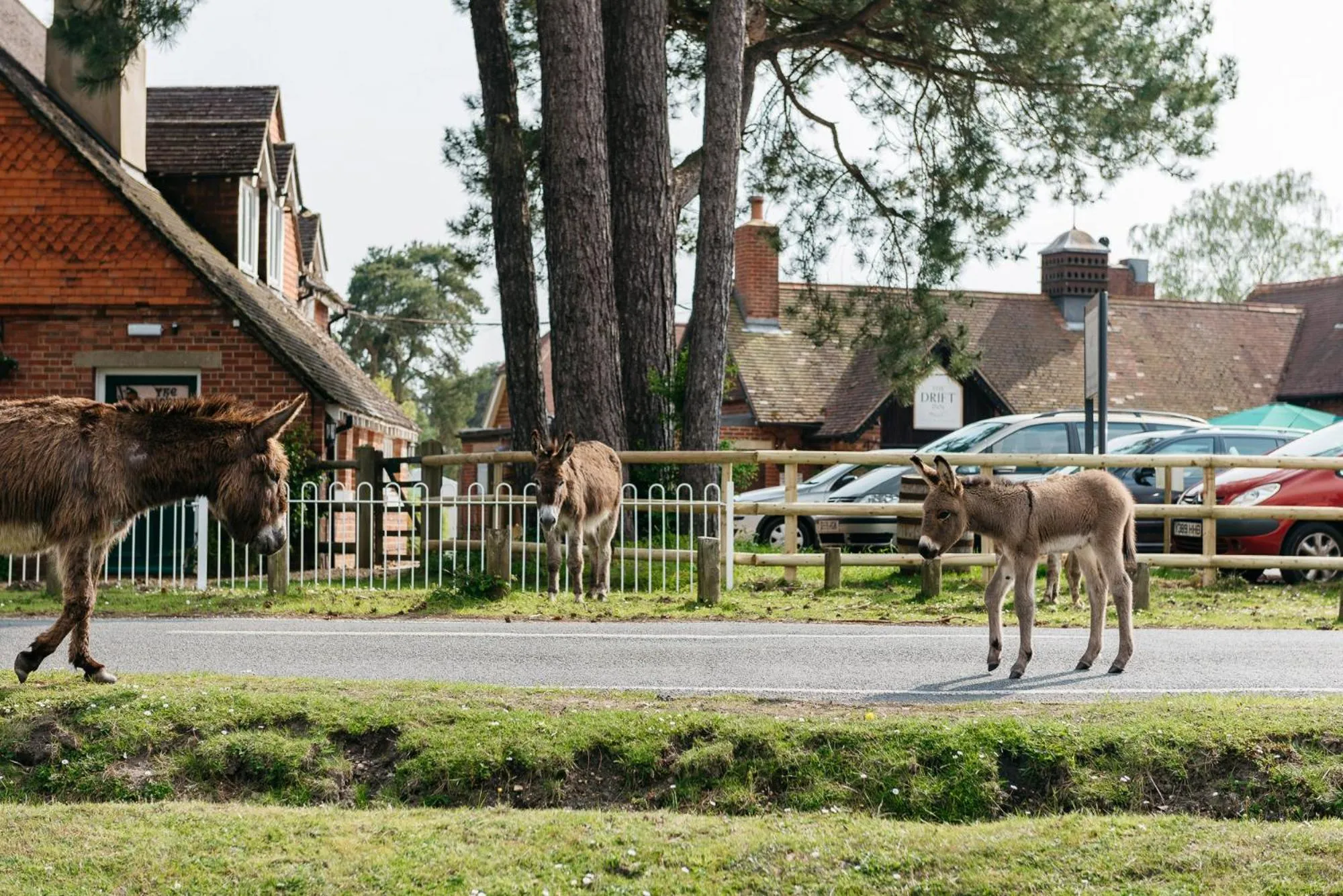 Property building in Beaulieu Hotel