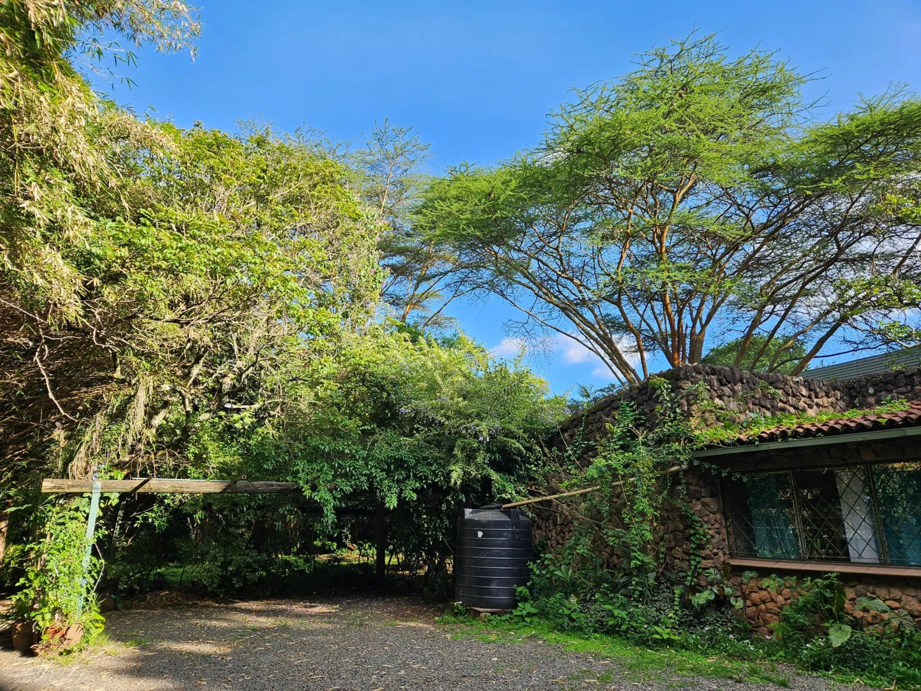 Mad Vervet Nairobi Backpackers Hostel