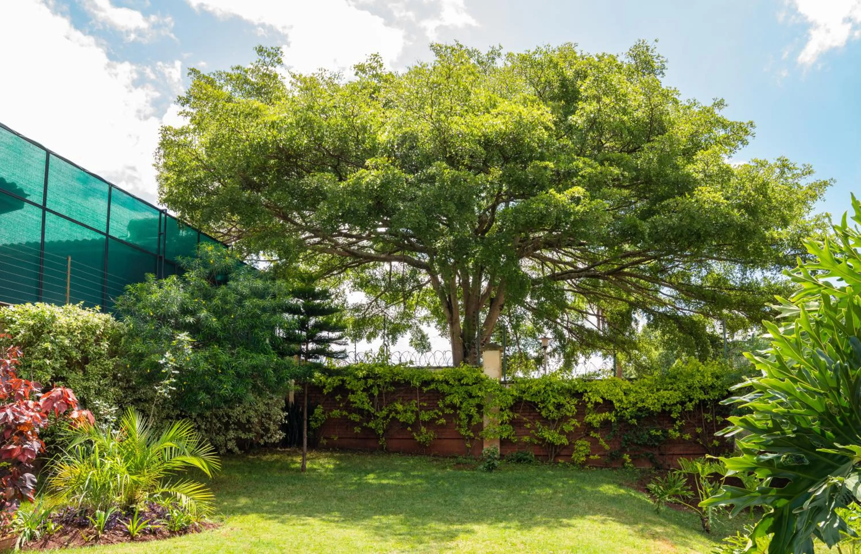 Garden in dreamplace Gigiri