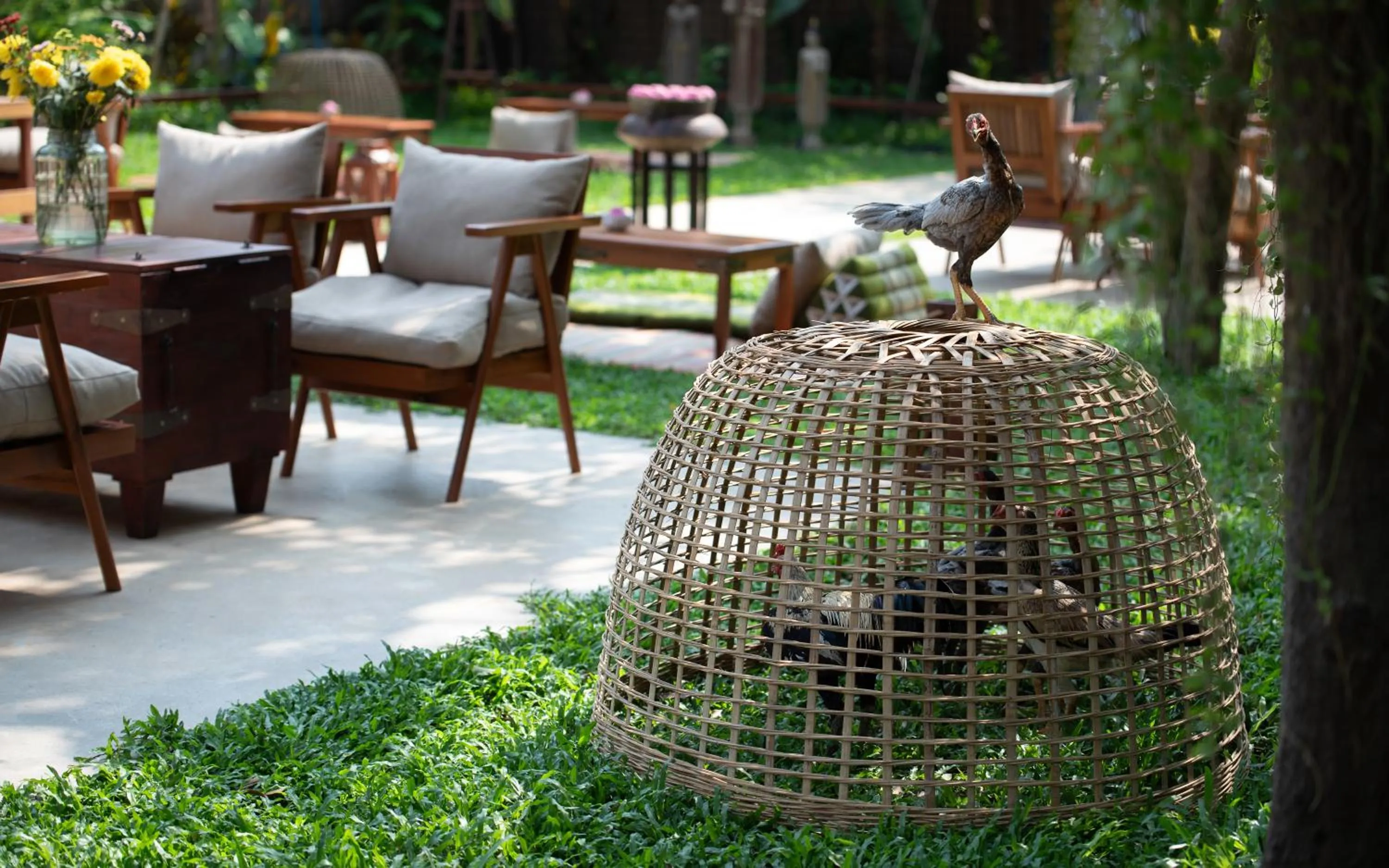 Garden in The Community - Siem Reap