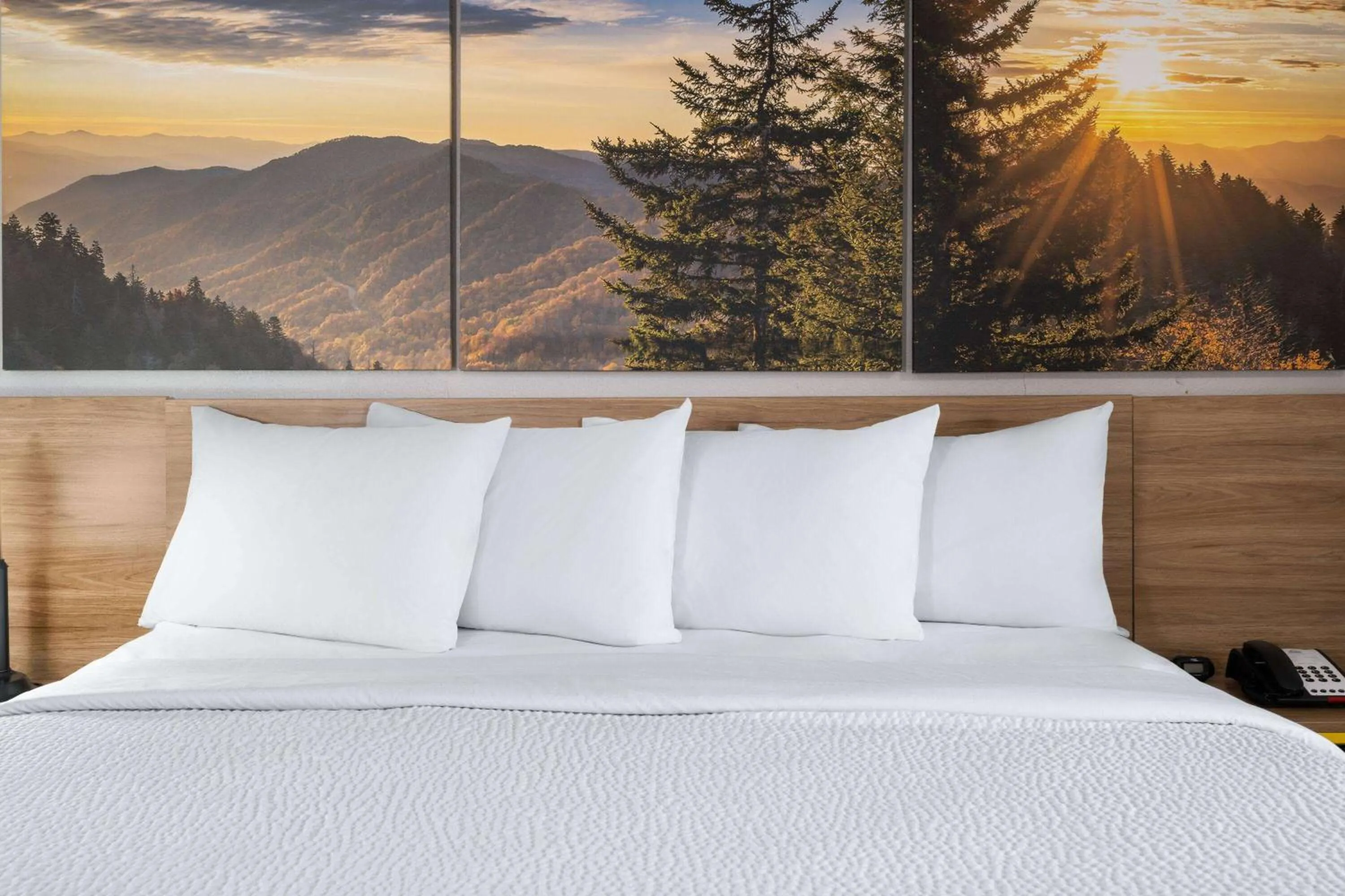 Photo of the whole room, Bed in Days Inn by Wyndham Salisbury, NC