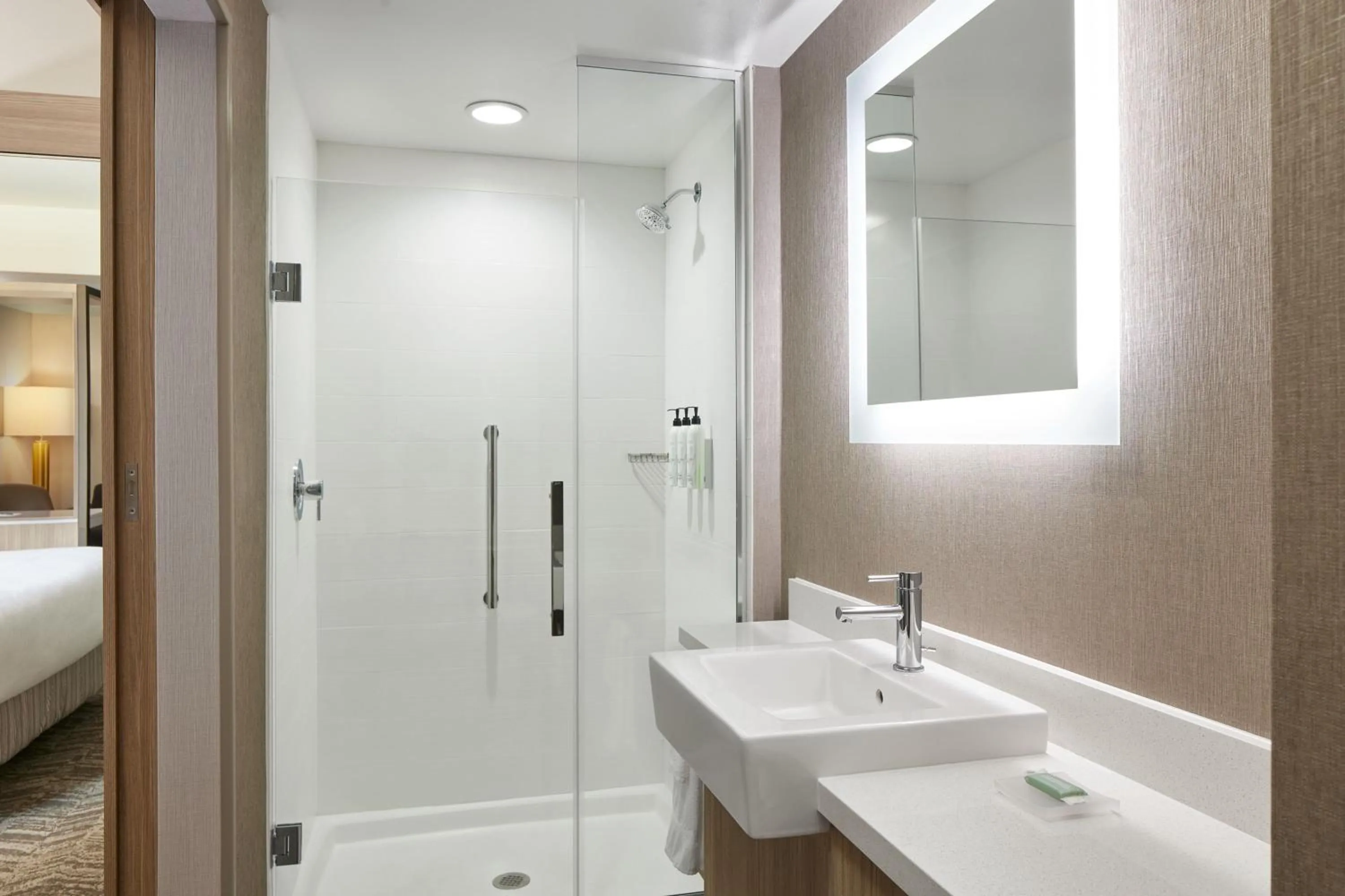Bathroom, Bed in SpringHill Suites by Marriott Frederica