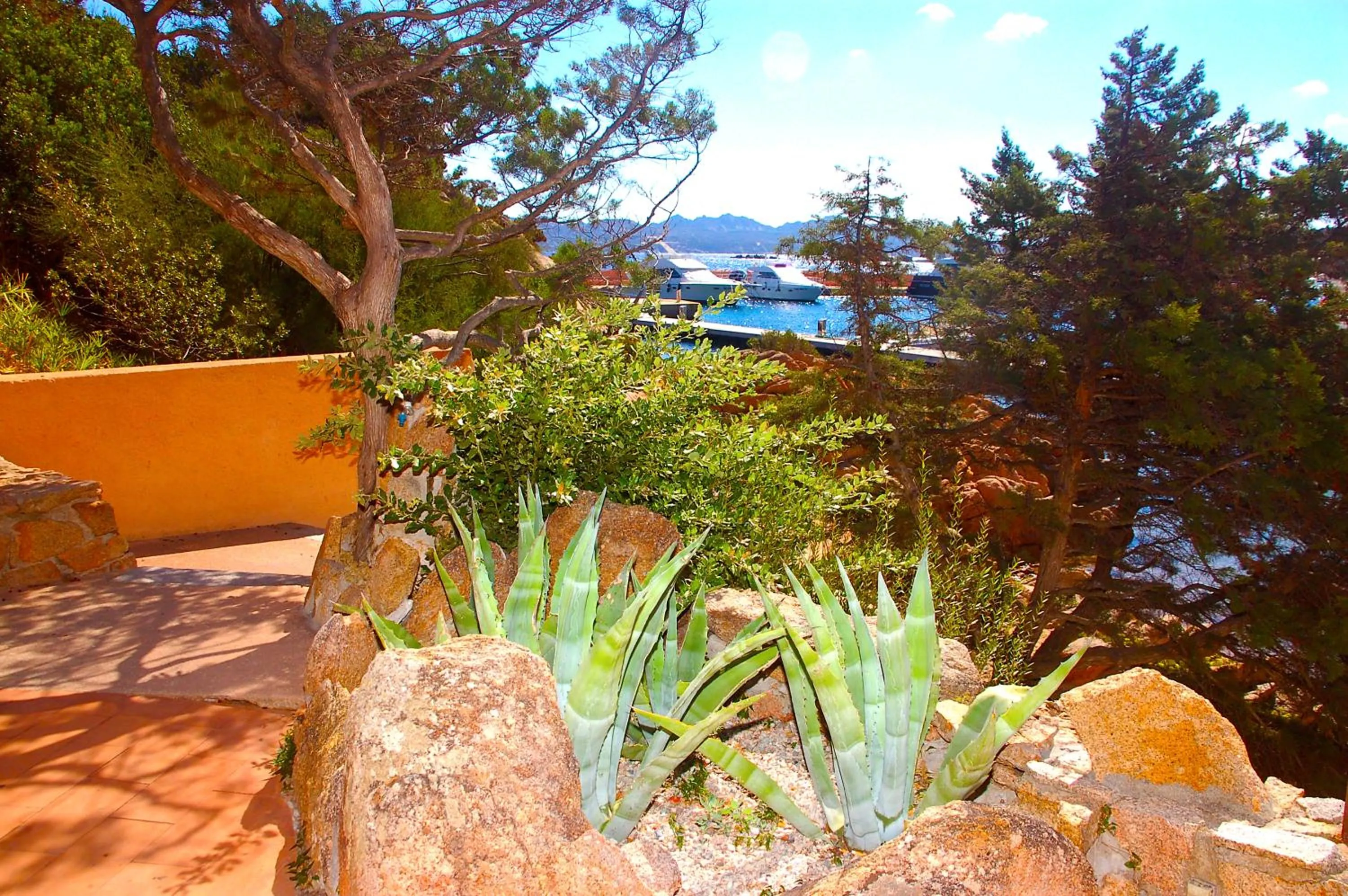 Natural landscape in Hotel Cala Lunga