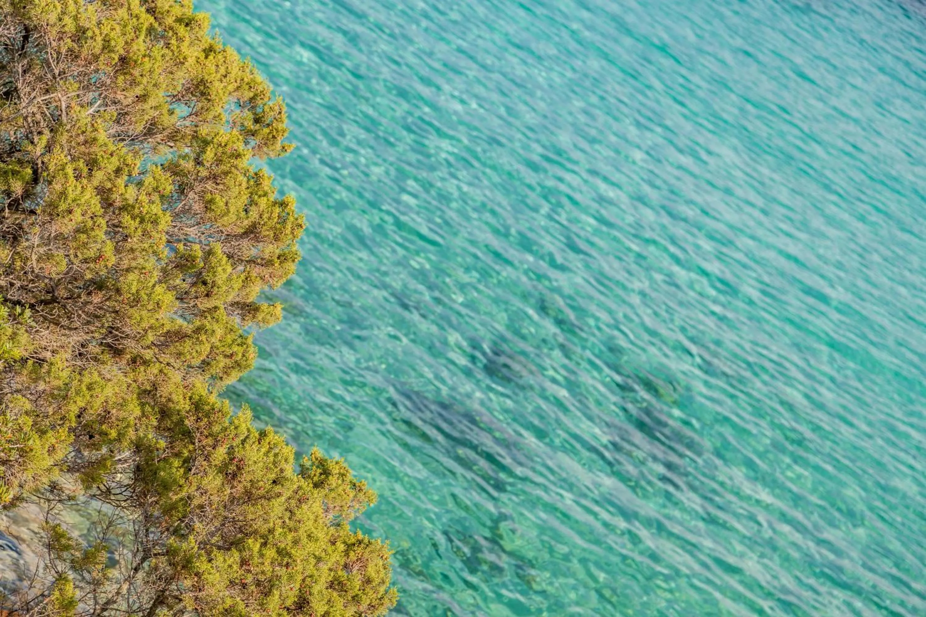 Natural landscape in Hotel Cala Lunga