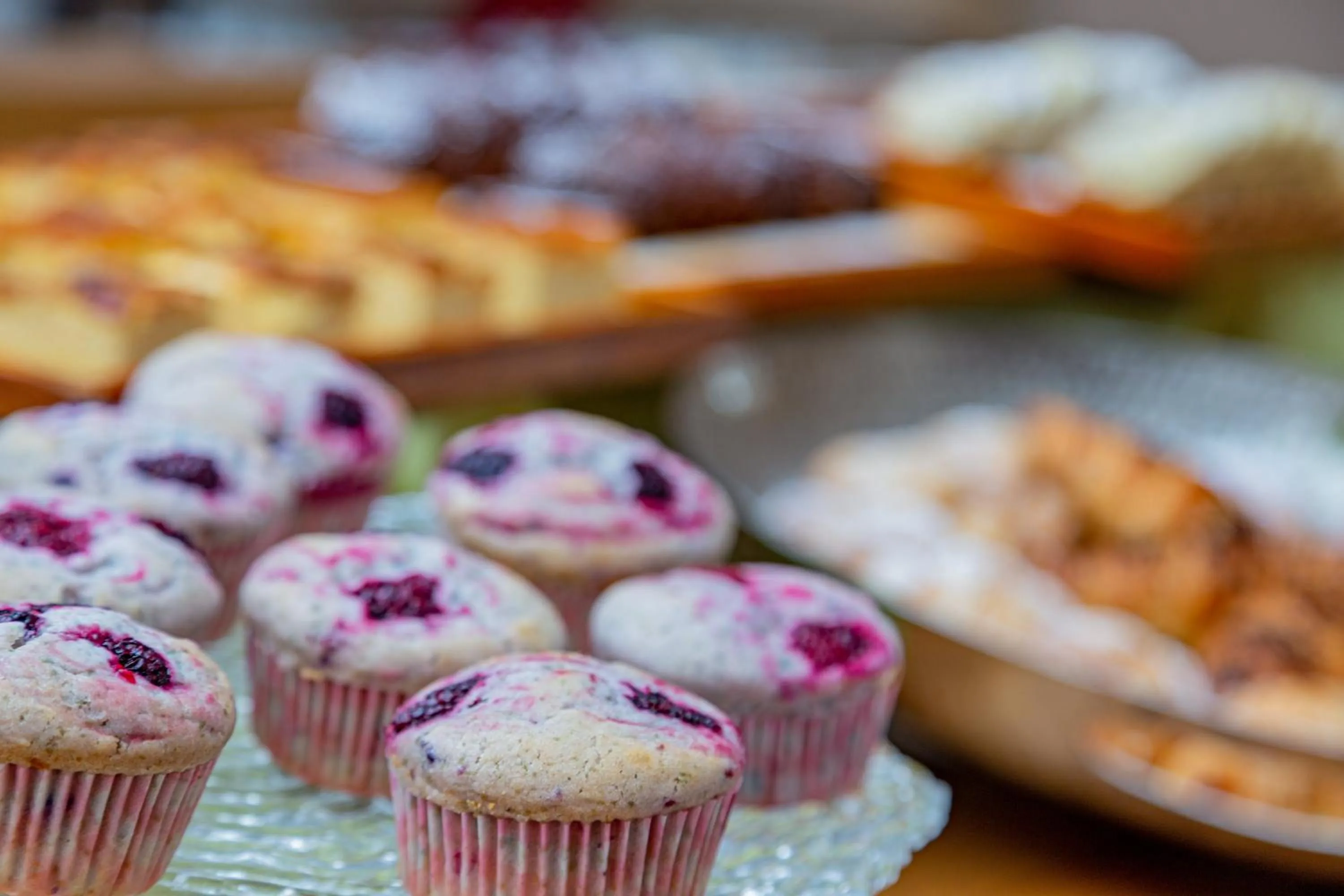 Food and drinks in Hotel Cala Lunga