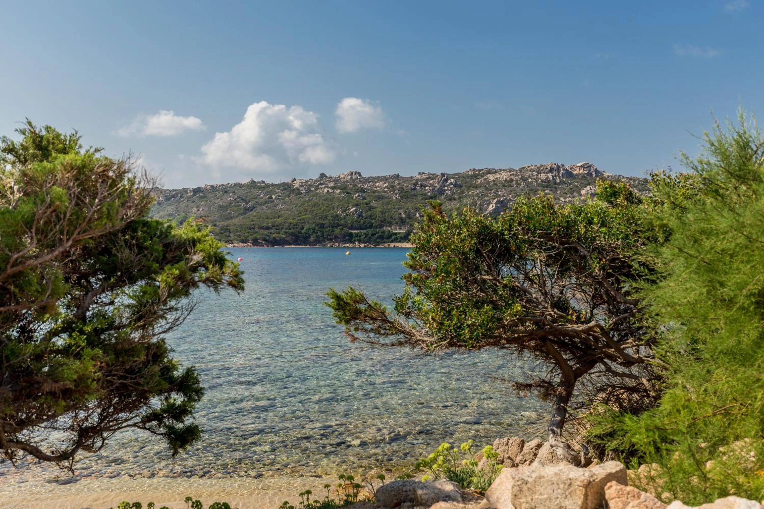 Natural landscape in Hotel Cala Lunga