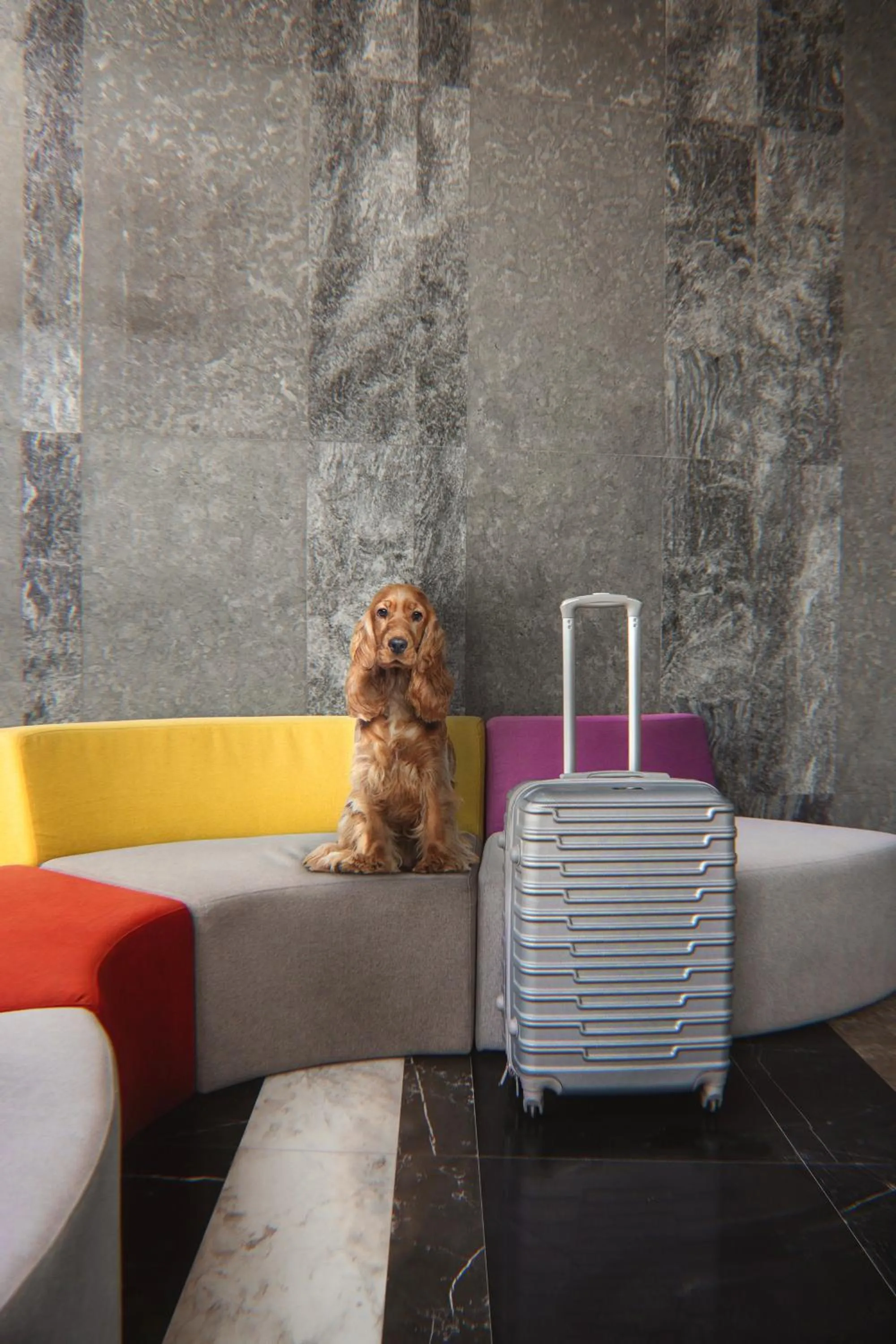 Pets in Izzzi Life Mint