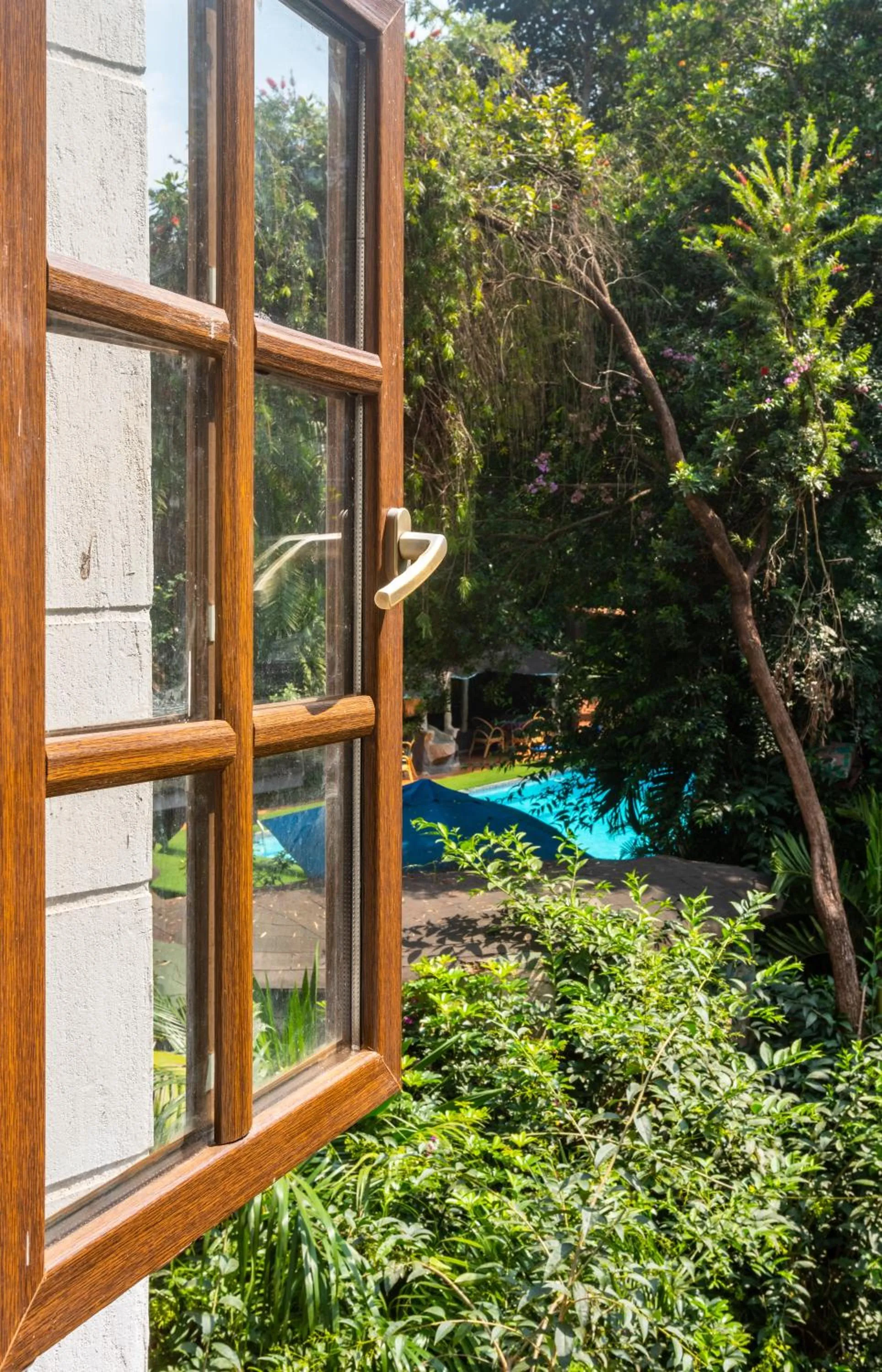 Swimming pool in Comfort Gardens