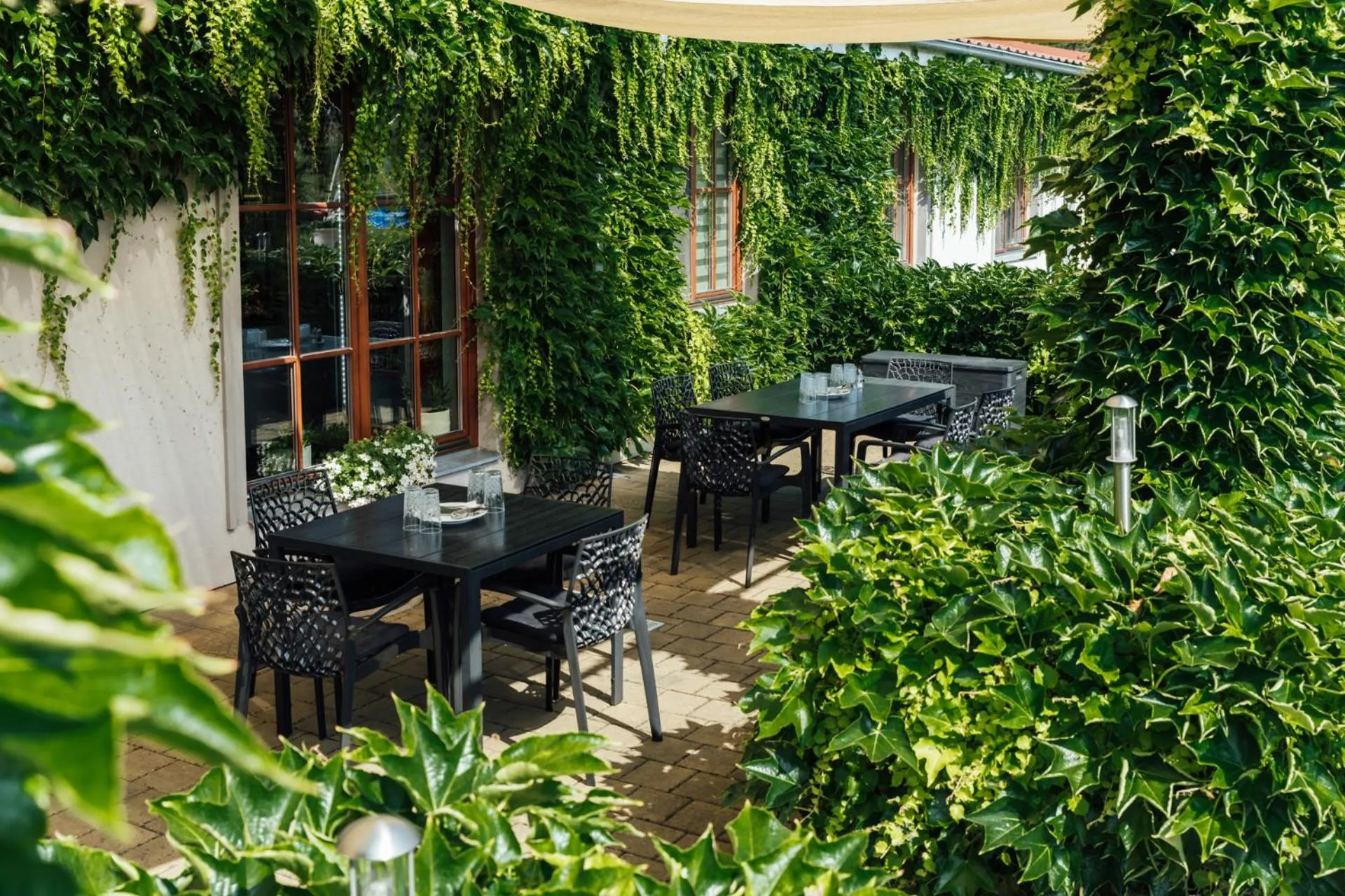 Restaurant/places to eat in Hotel Maroli Mikulov