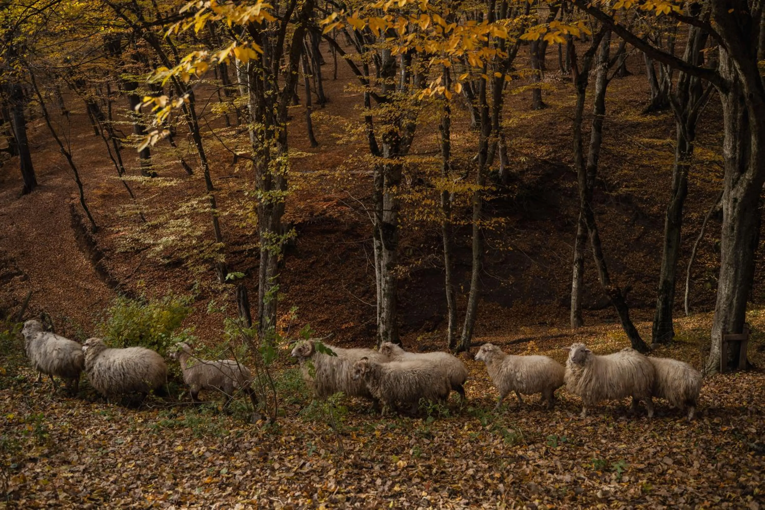 Day in Kiketi Farm Hotels