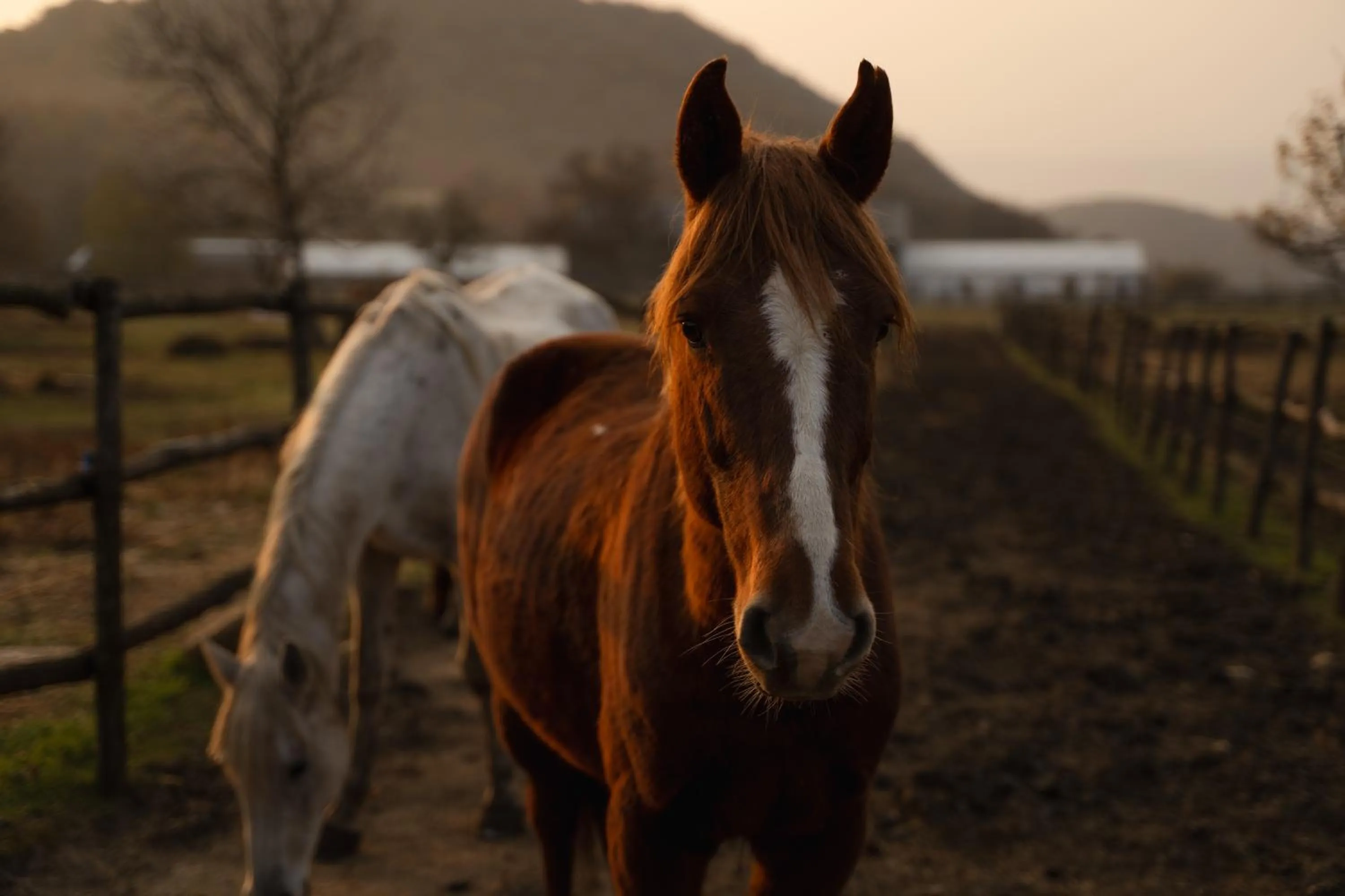Day in Kiketi Farm Hotels