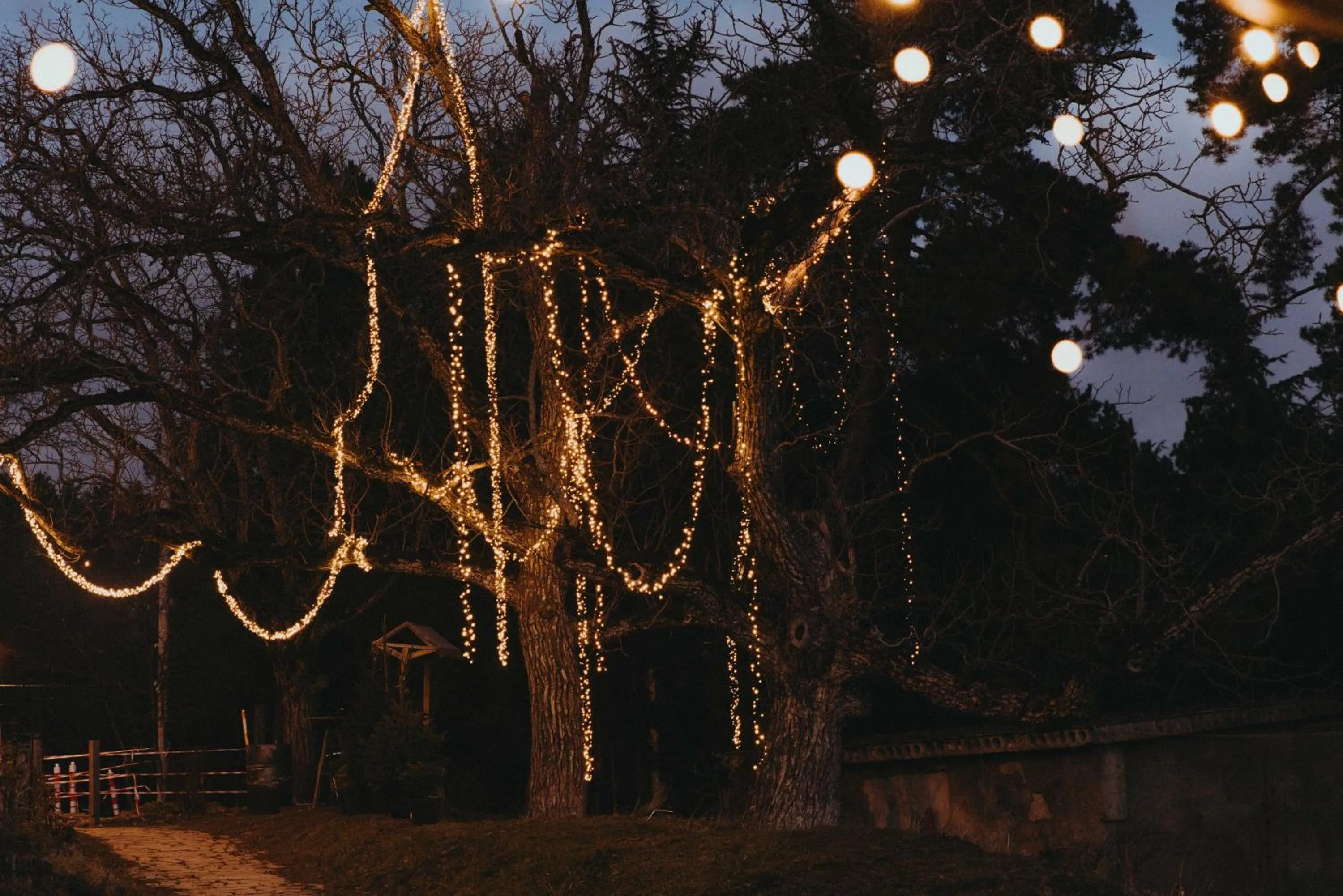 Property building in Kiketi Farm Hotels