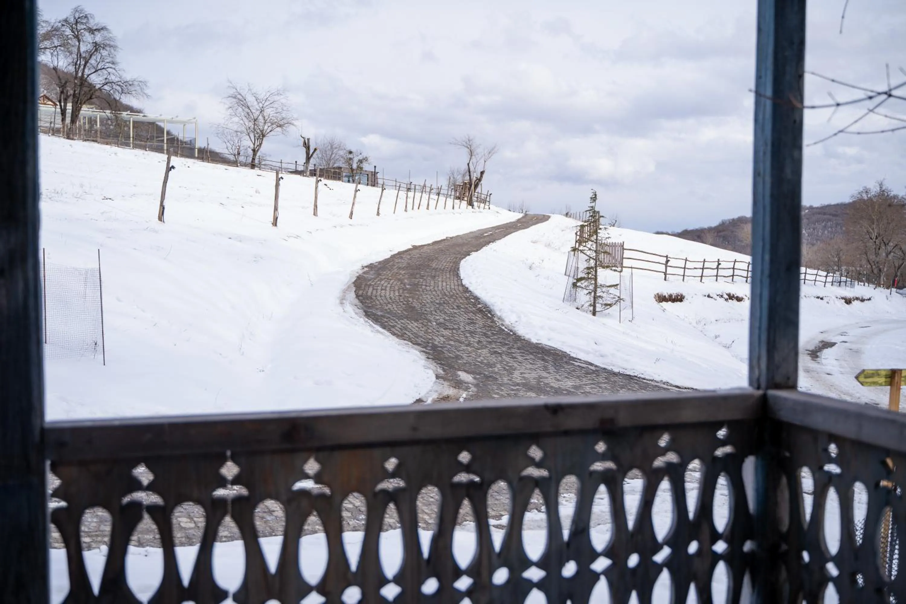 Day in Kiketi Farm Hotels