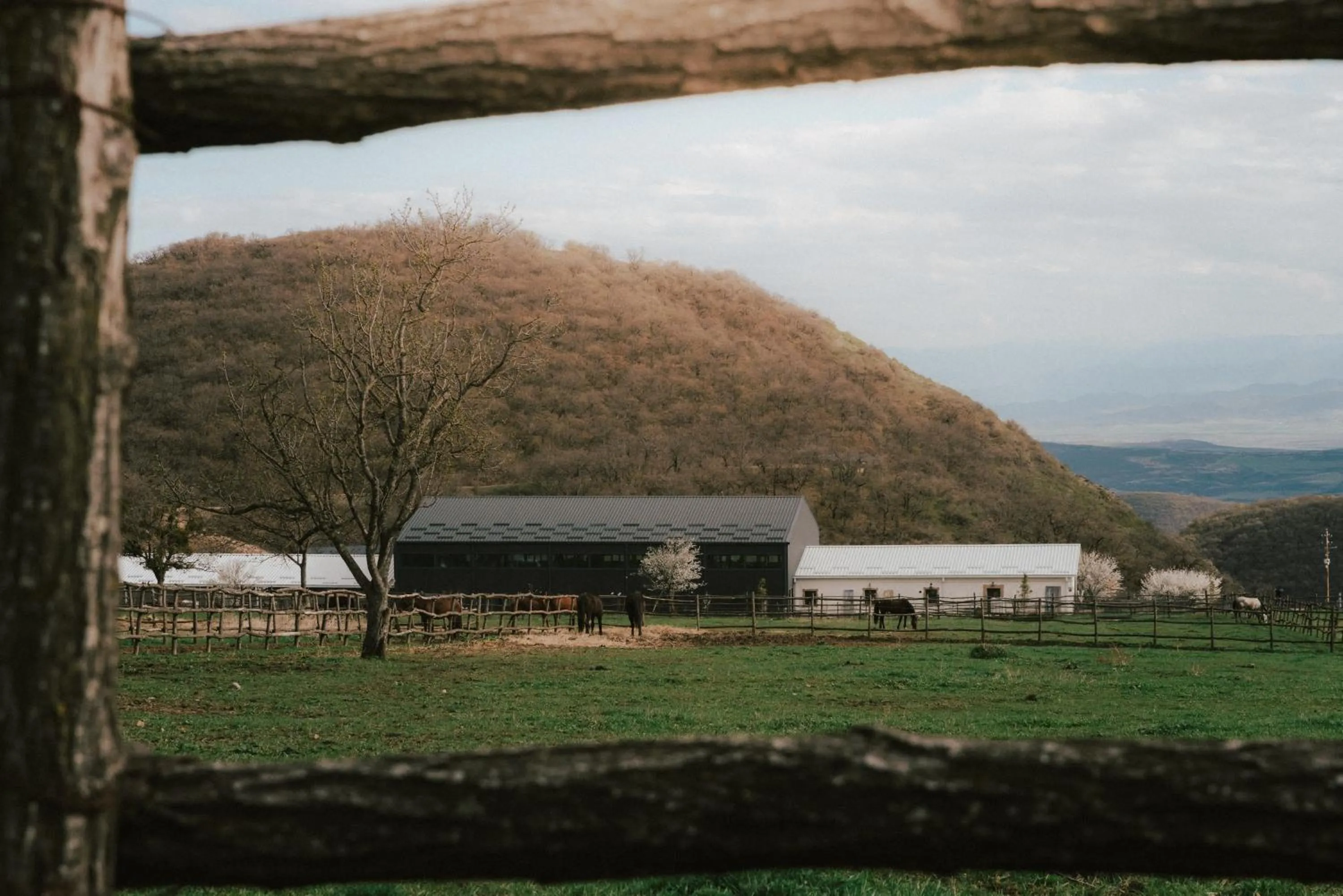 Property building in Kiketi Farm Hotels