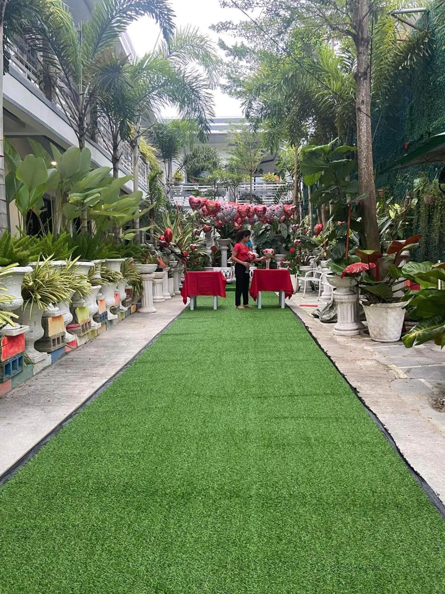 Natural landscape in The VeeHive Guesthouse