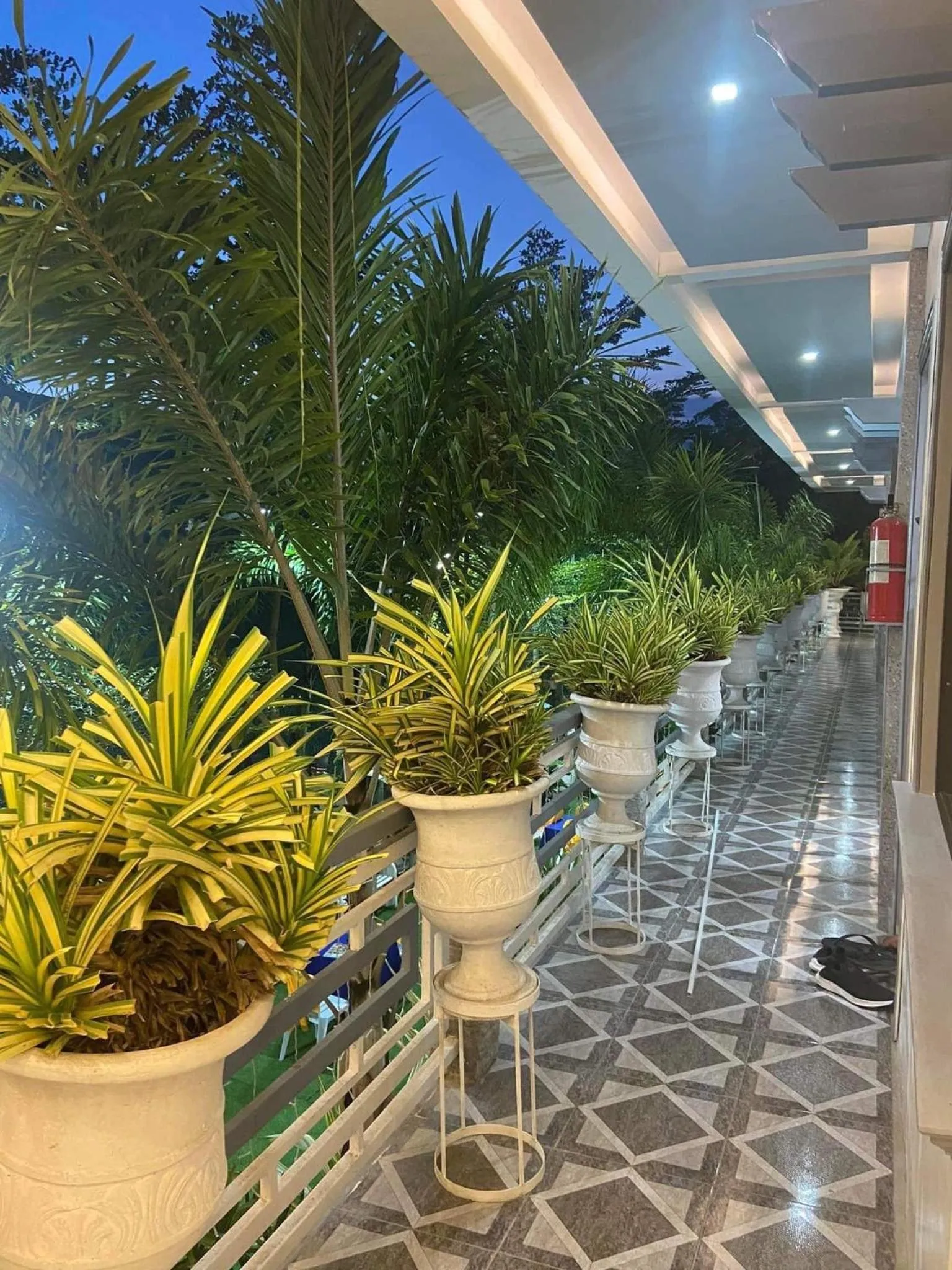 The VeeHive Guesthouse