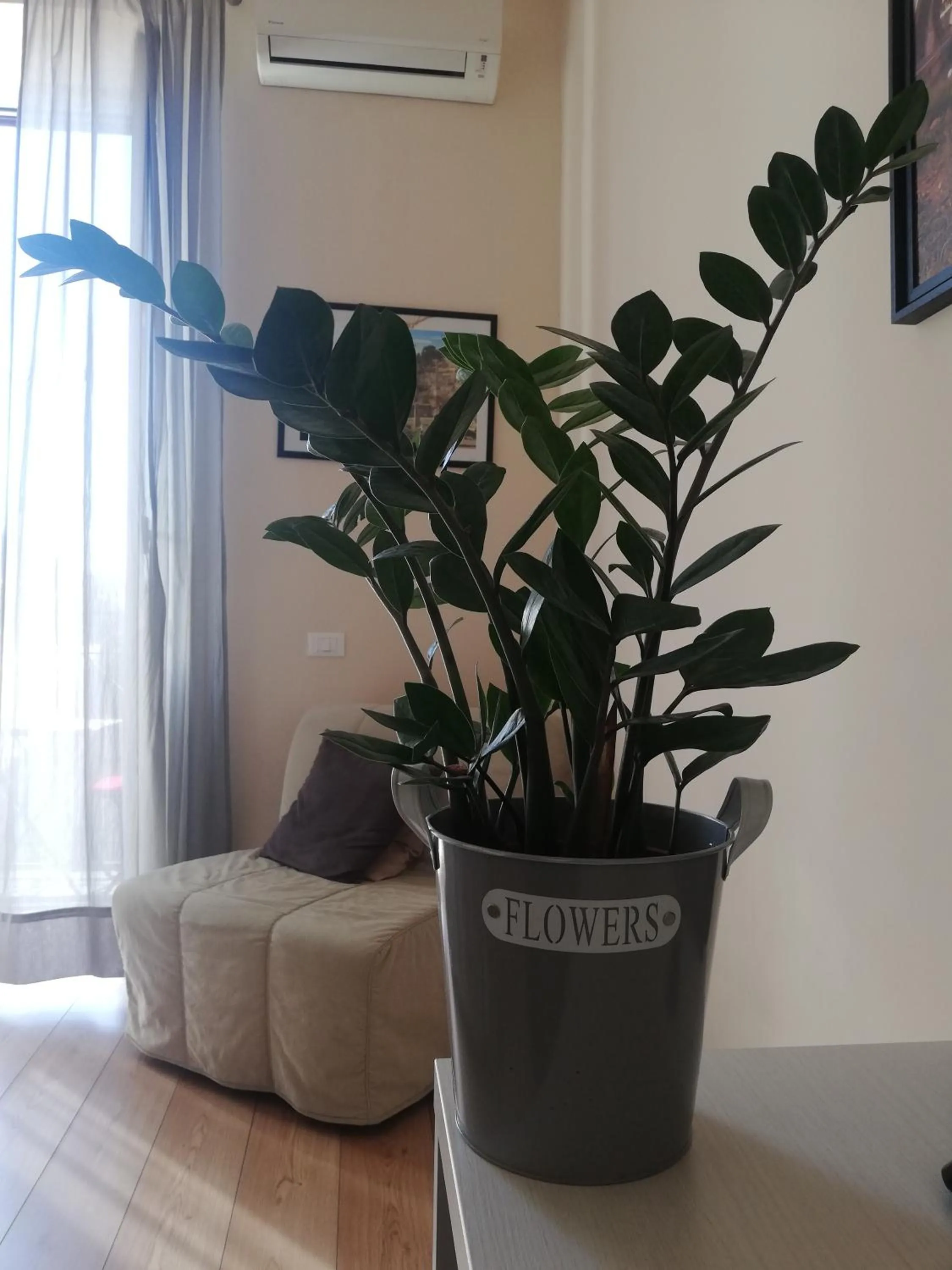 Decorative detail in Aria Rome Rooms