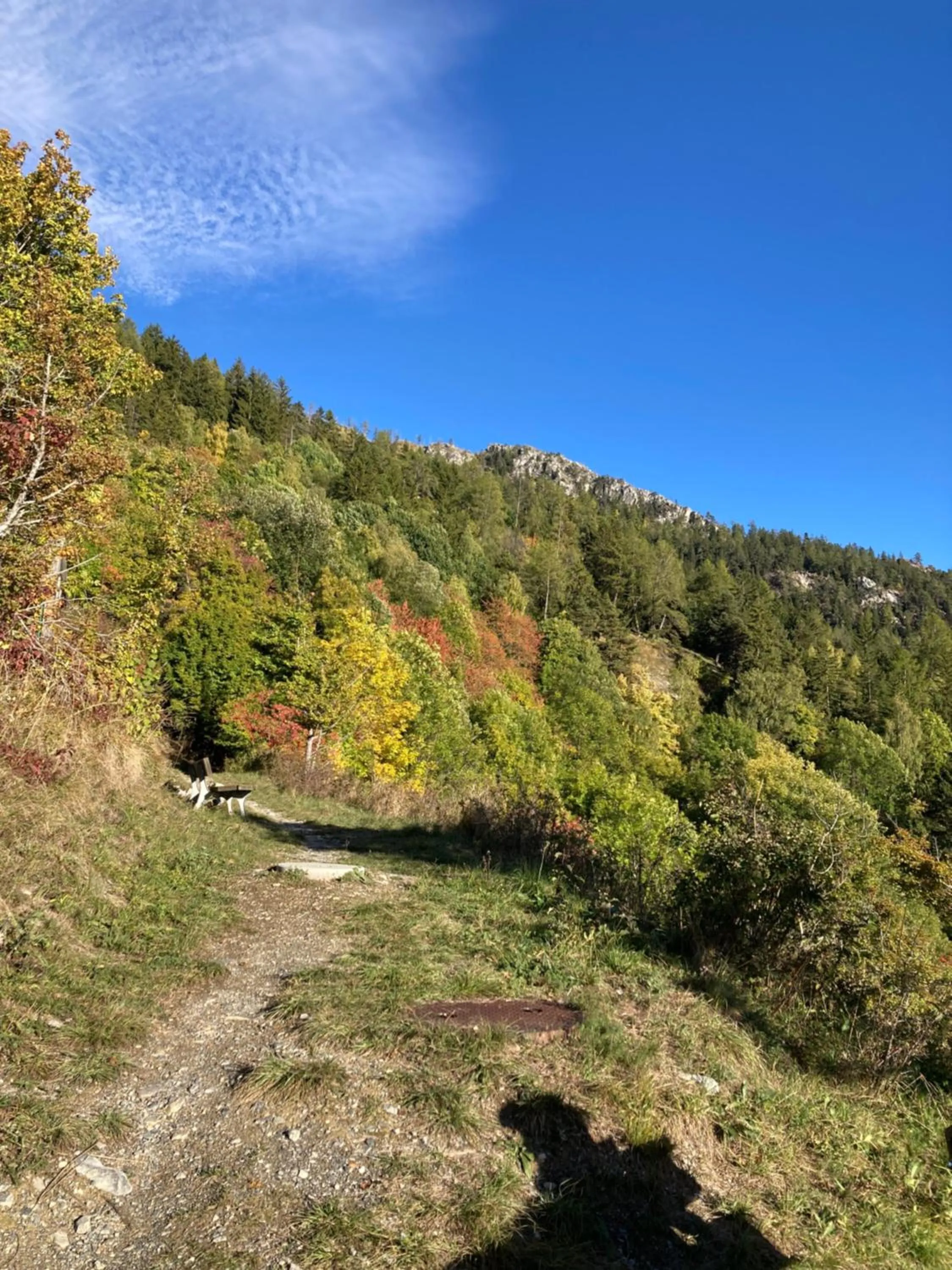 Natural landscape in Haus Rhodania