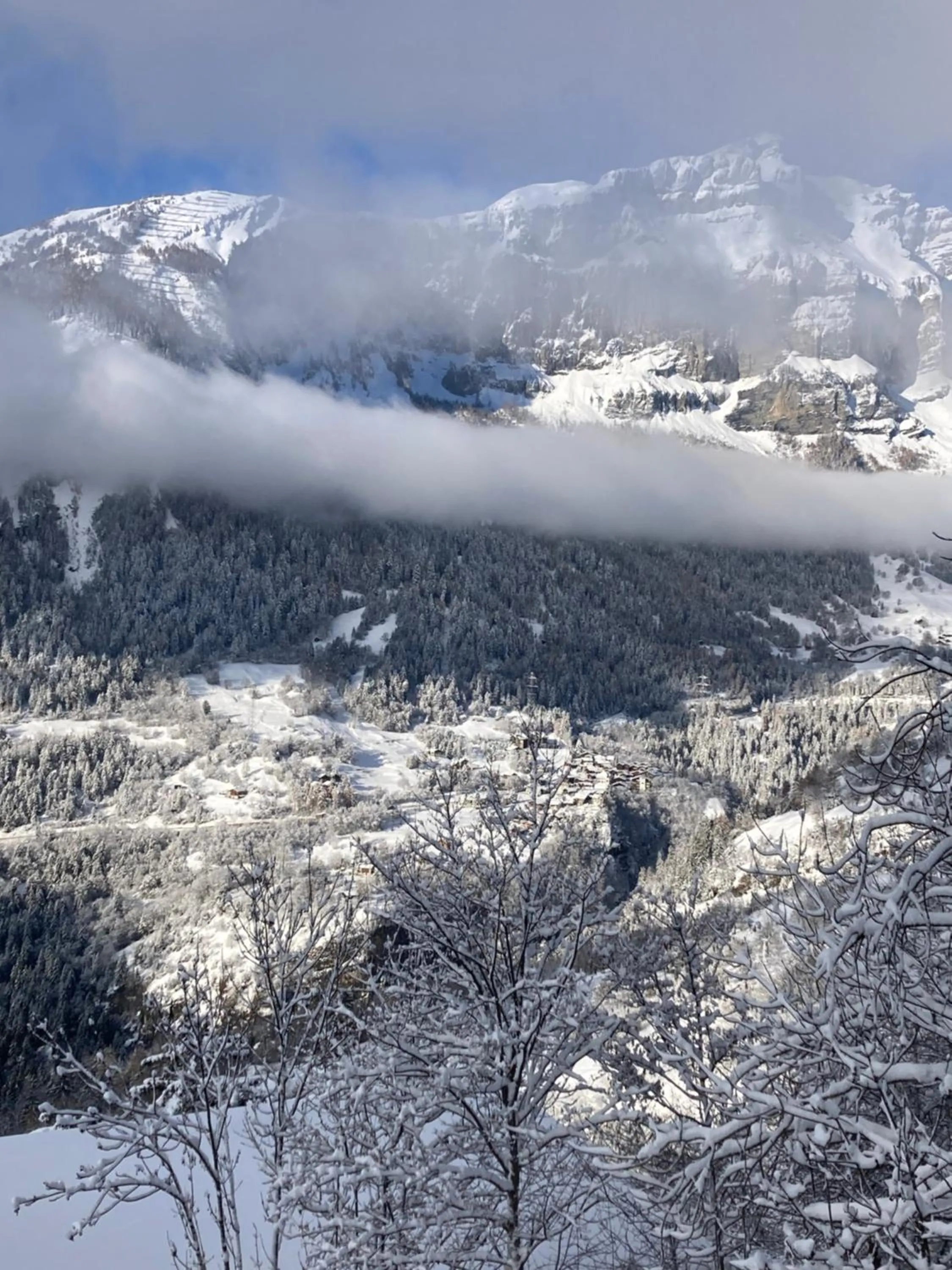 Natural landscape in Haus Rhodania