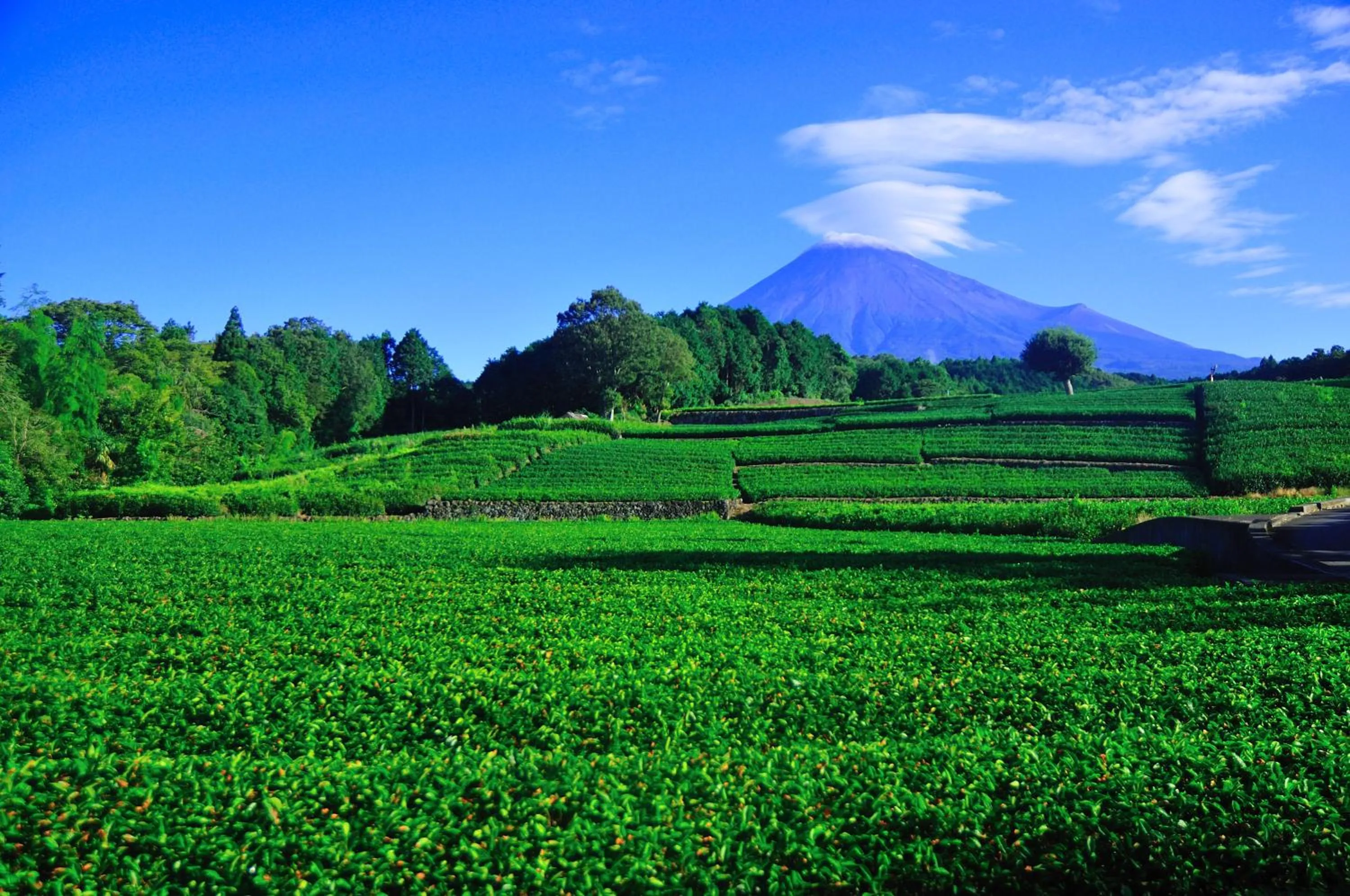 Nearby landmark in APA Hotel Fujichuo