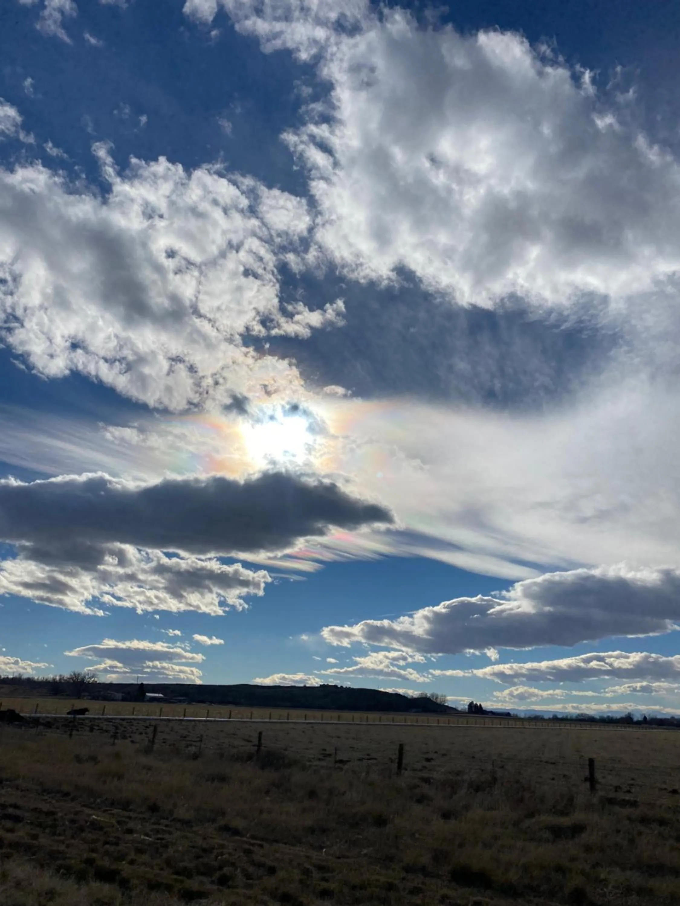 Horseshoe Bend Motel