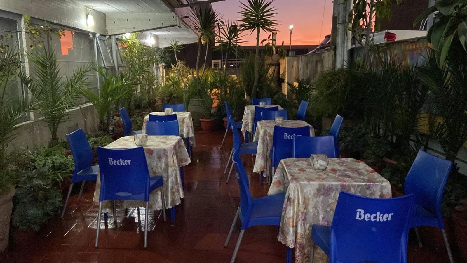 Patio in NEW HOTEL CRUZ DEL SUR