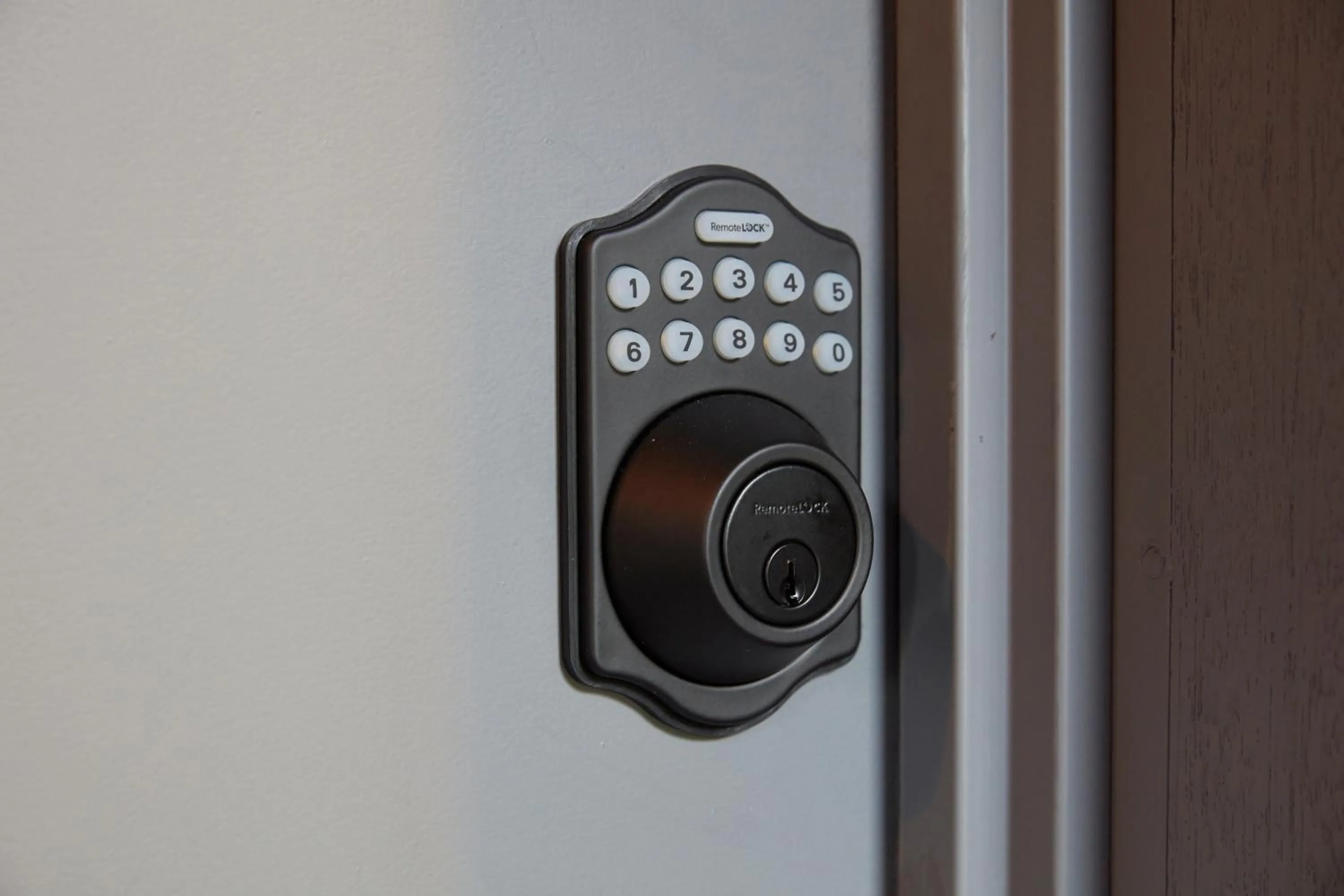 Other in Towadakohan Sakura