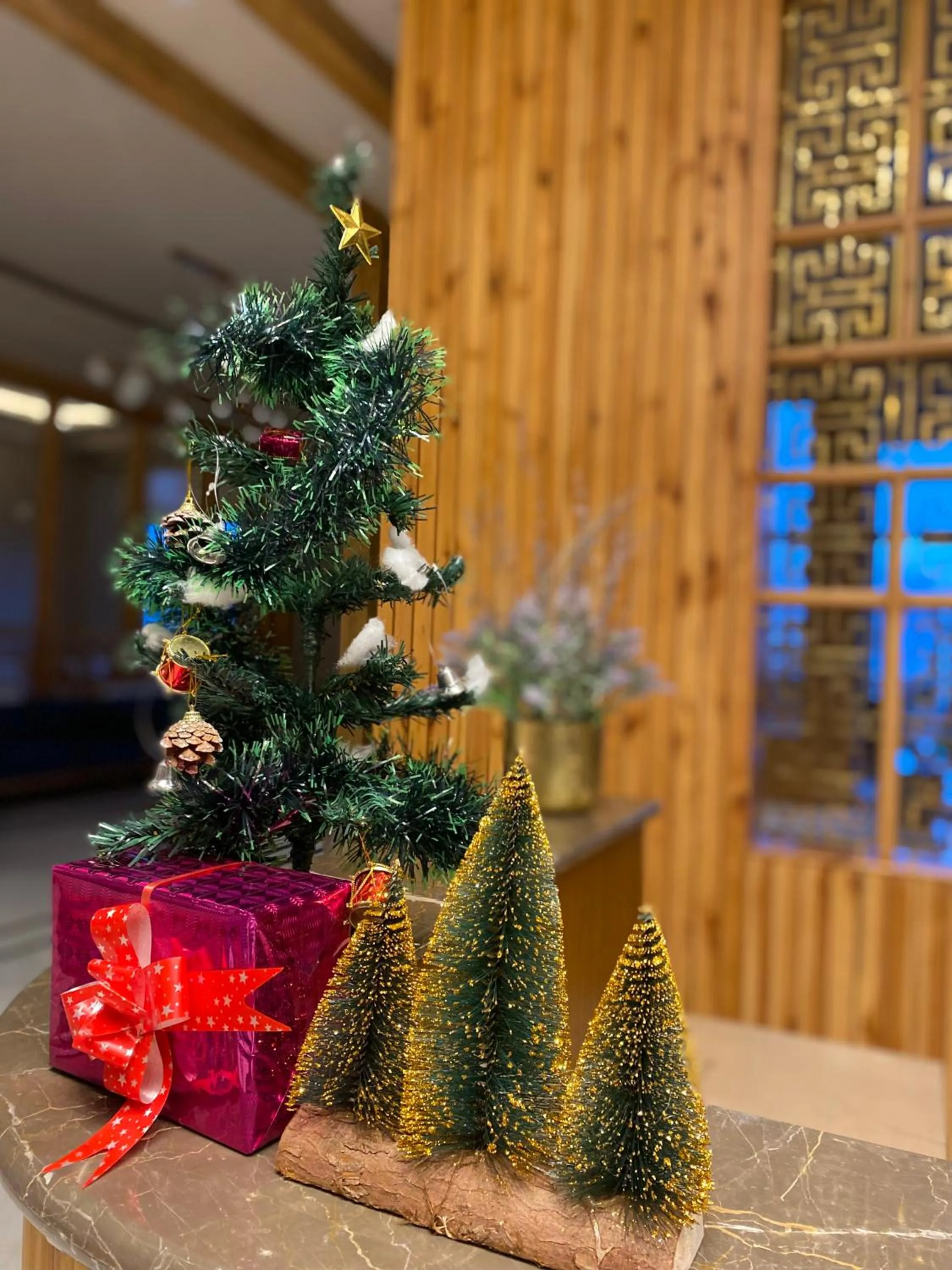 Lobby or reception in Hotel Rewa Ladakh