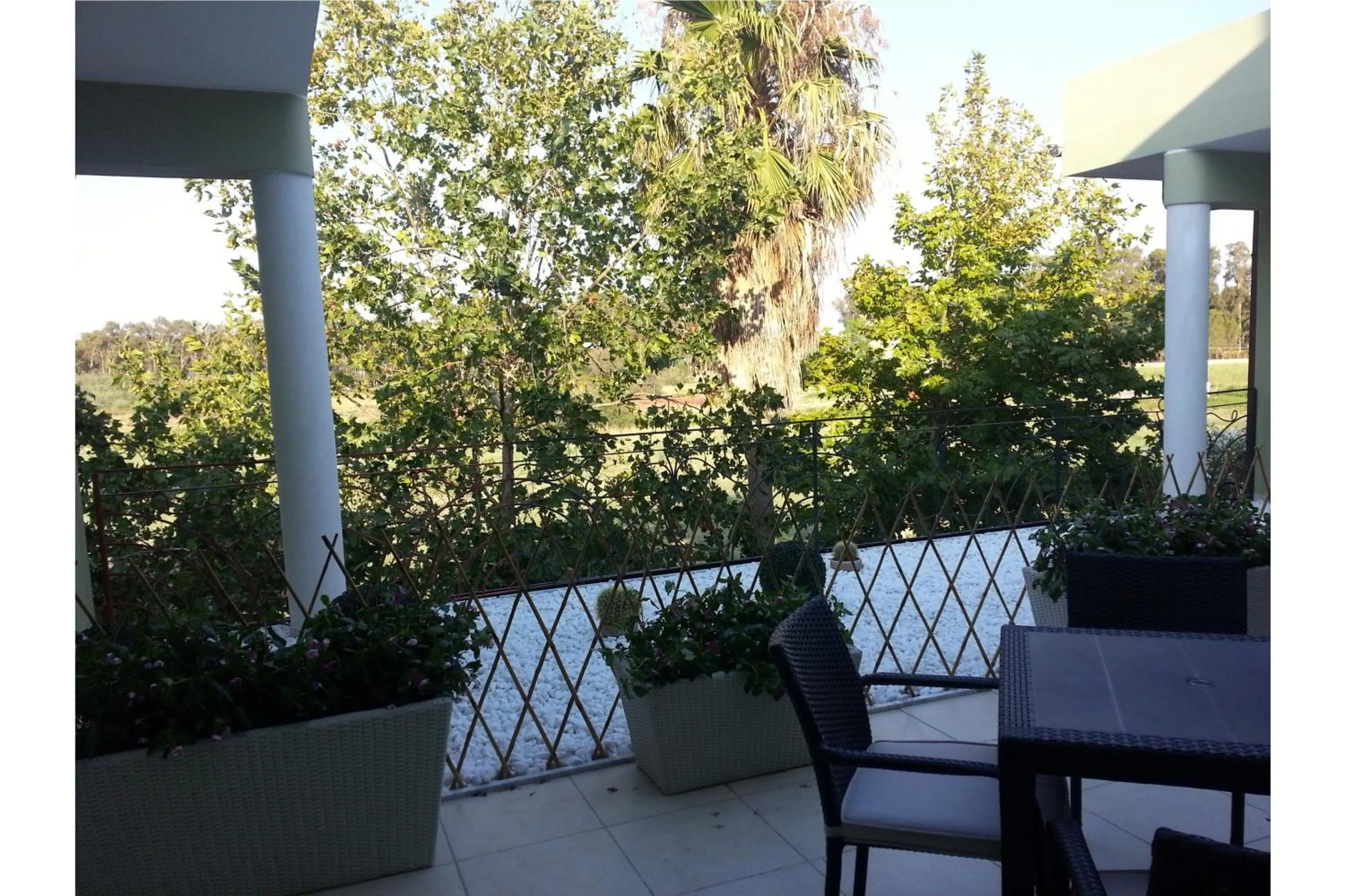 Balcony/Terrace in Hotel Miramare