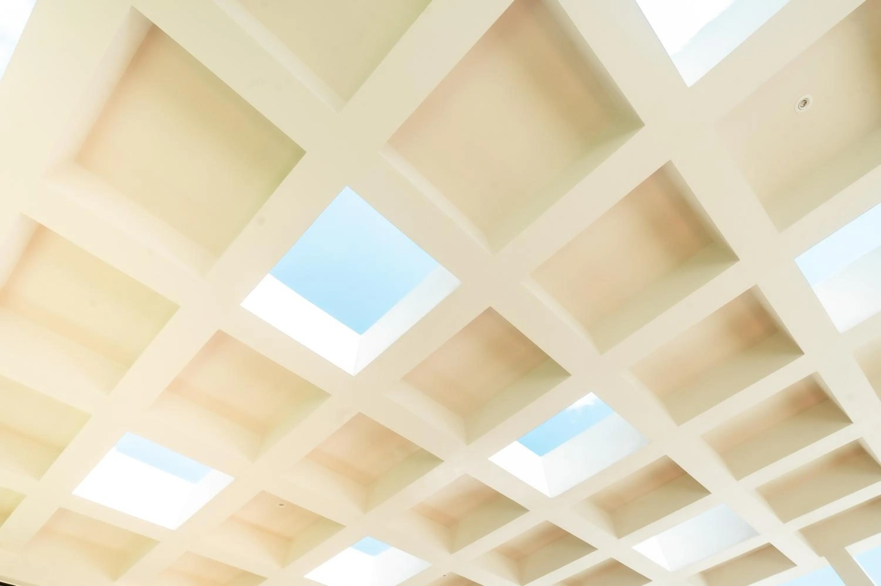 Area and facilities in Pillows boutique hotel