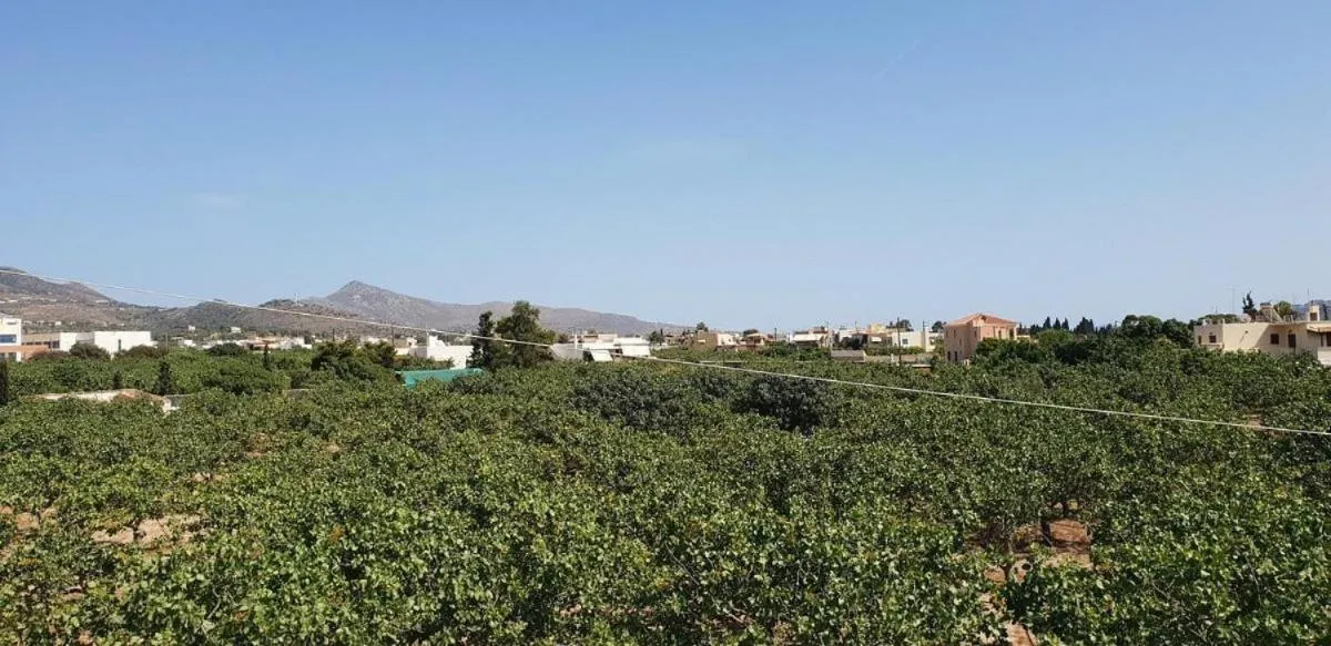 Miranta Hotel - Apartments & Studios