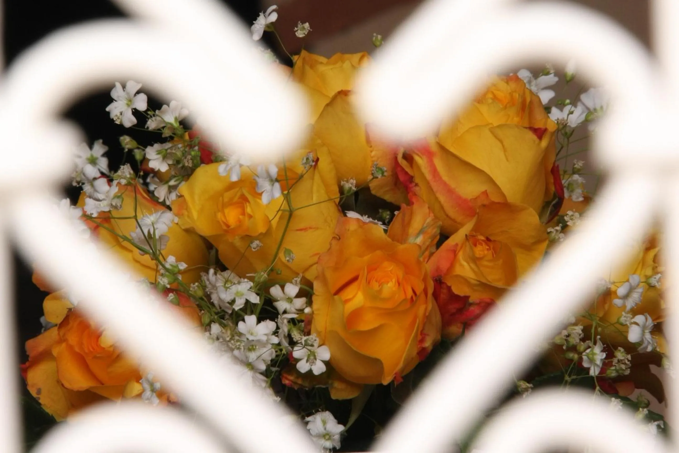 Patio in Riad Clémentine