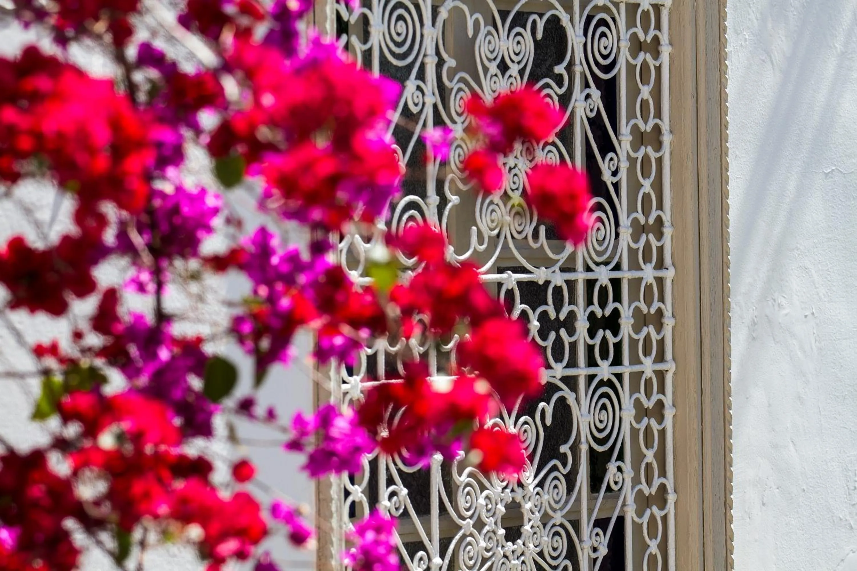 Patio in Riad Clémentine