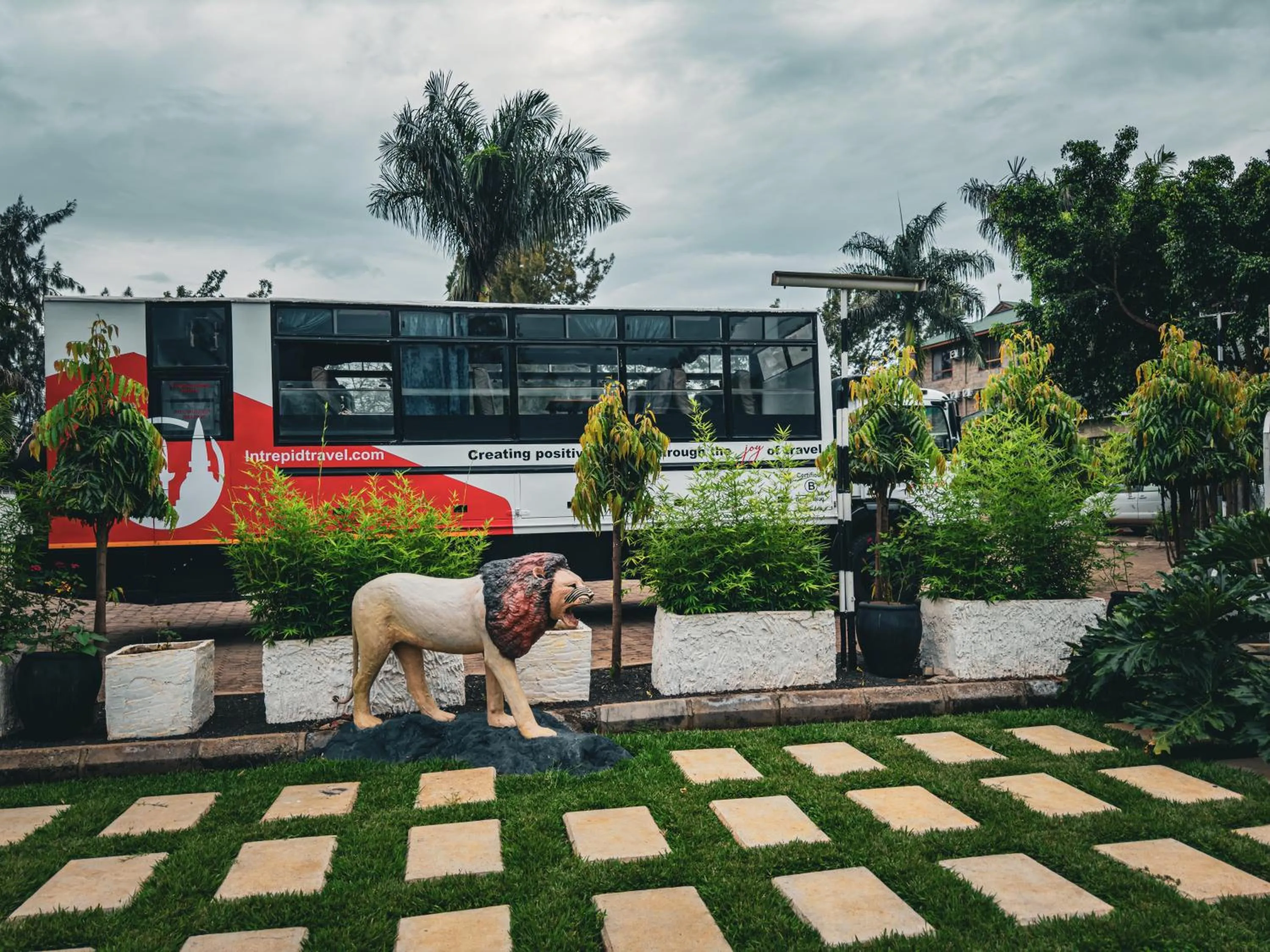 Garden in Njiro Climax