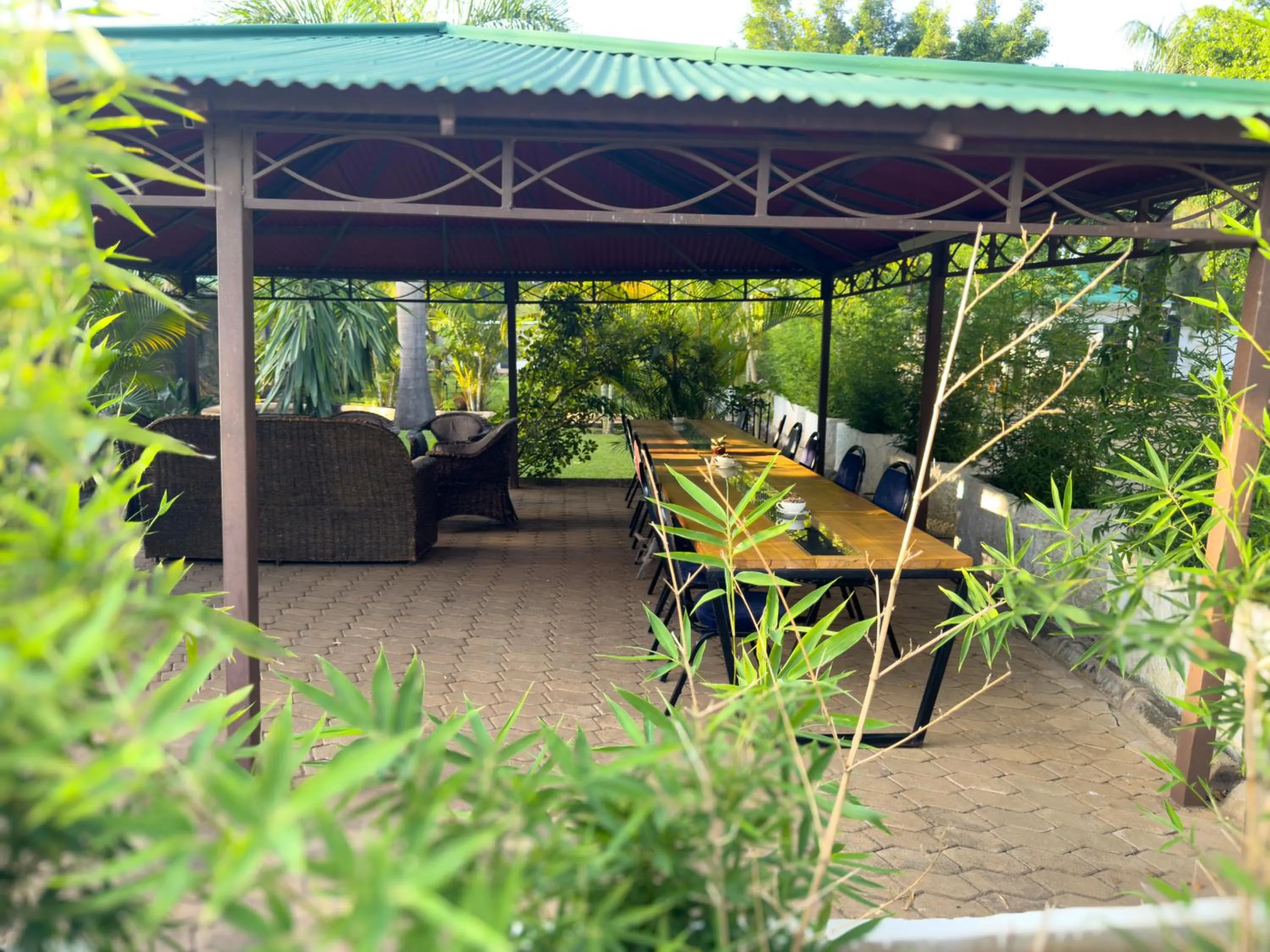 Spring in Njiro Climax