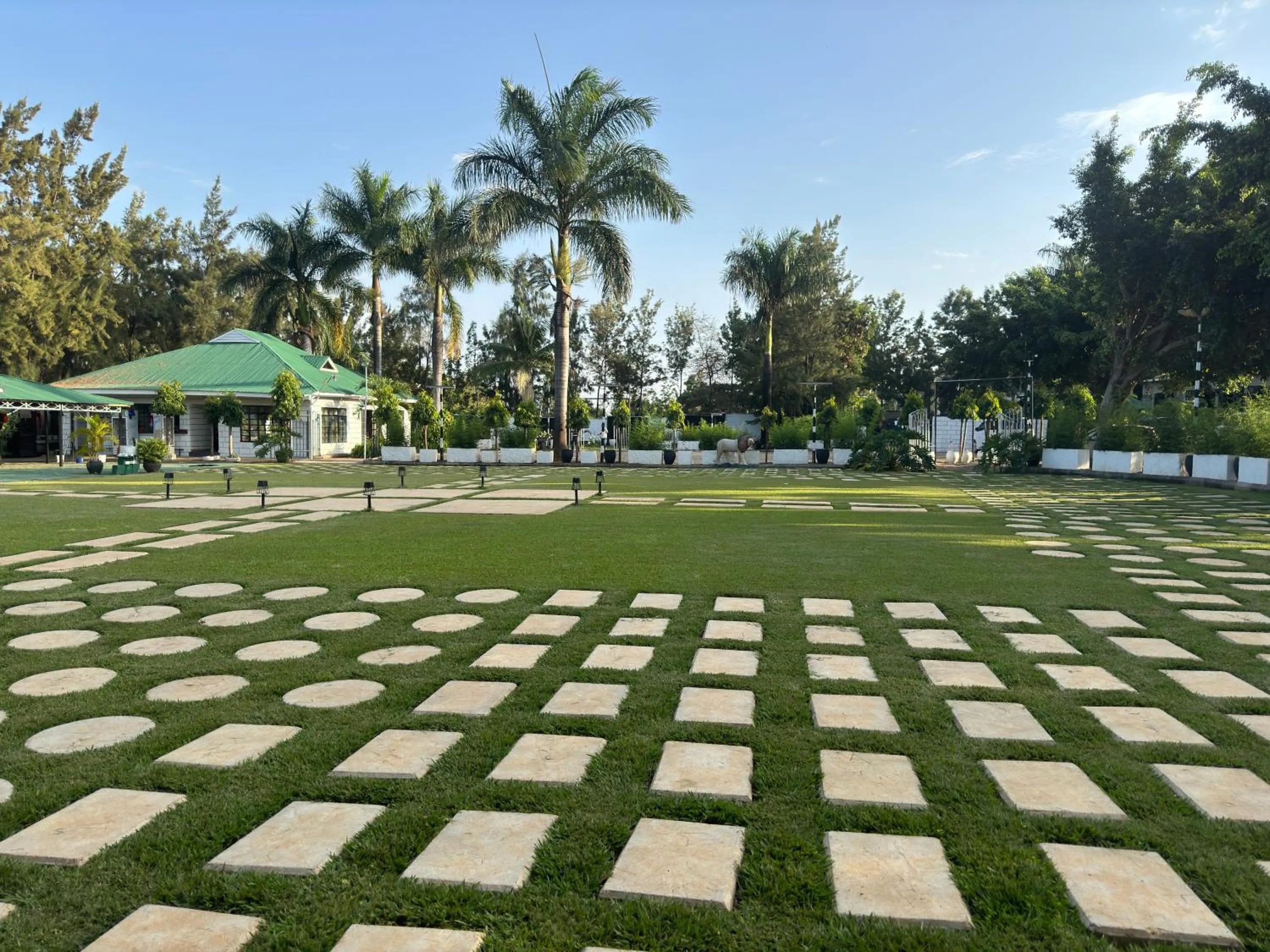 Garden view in Njiro Climax