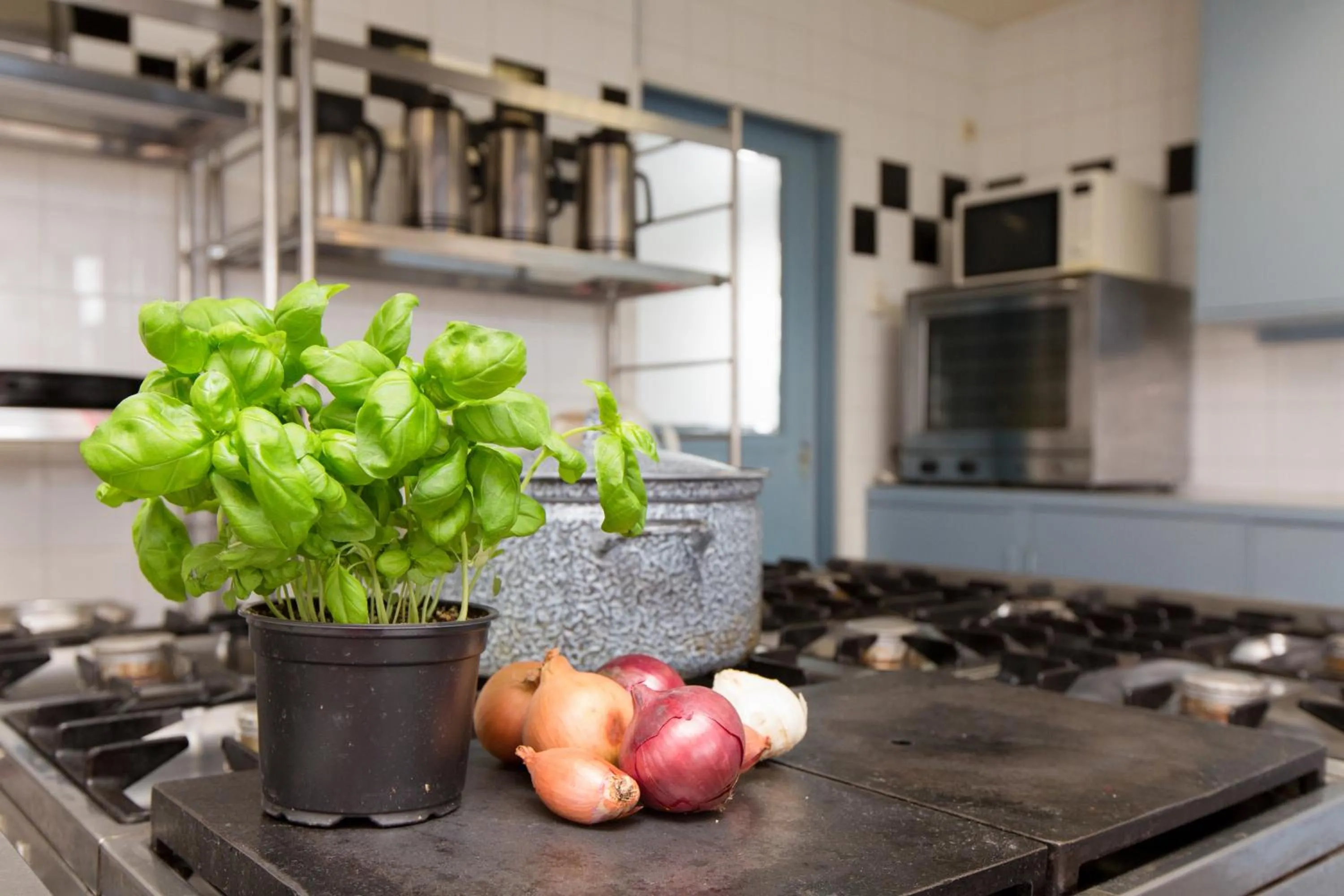 Het Toppunt groot vakantiehuis aan het water