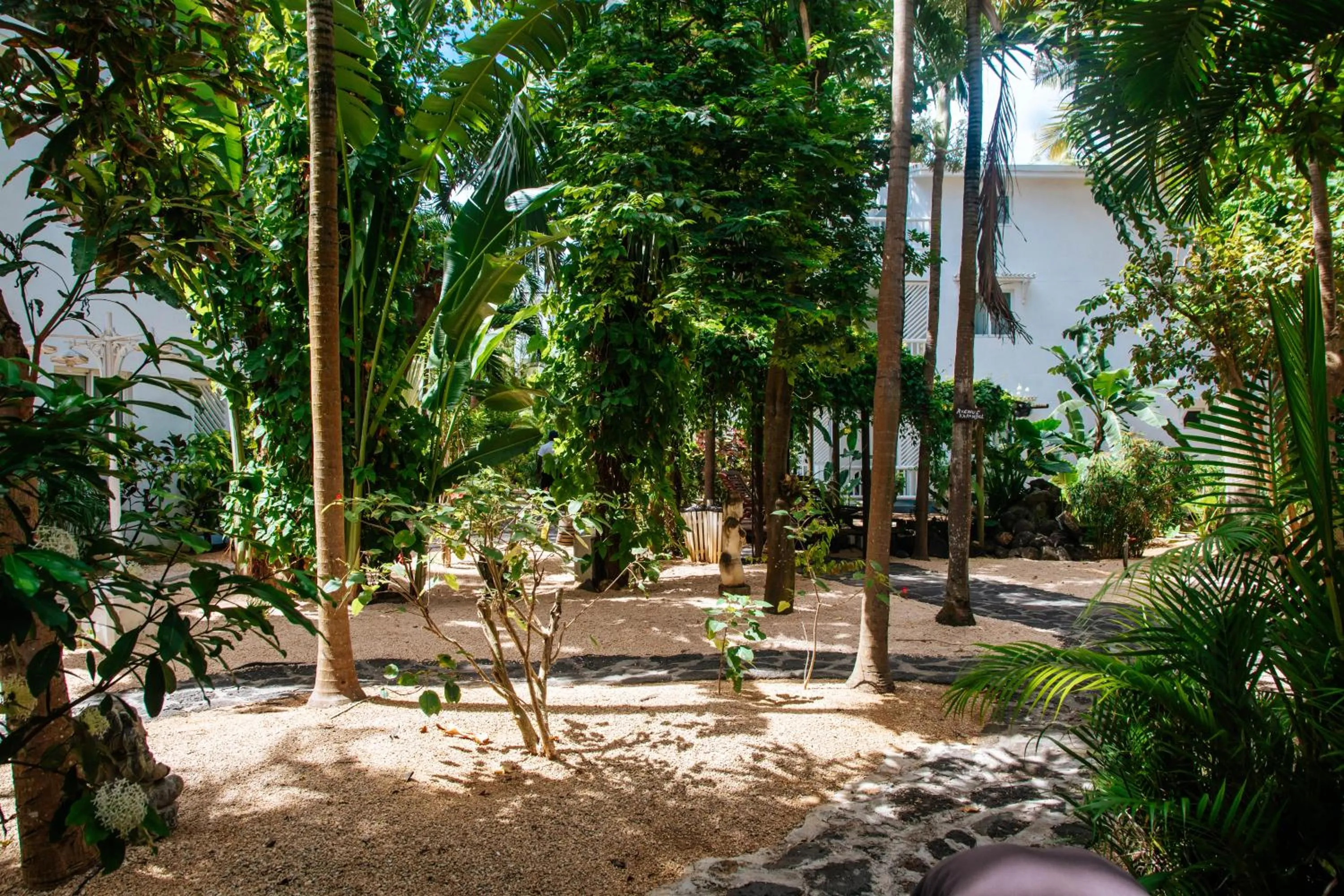 Garden in Hibiscus Boutique Hotel