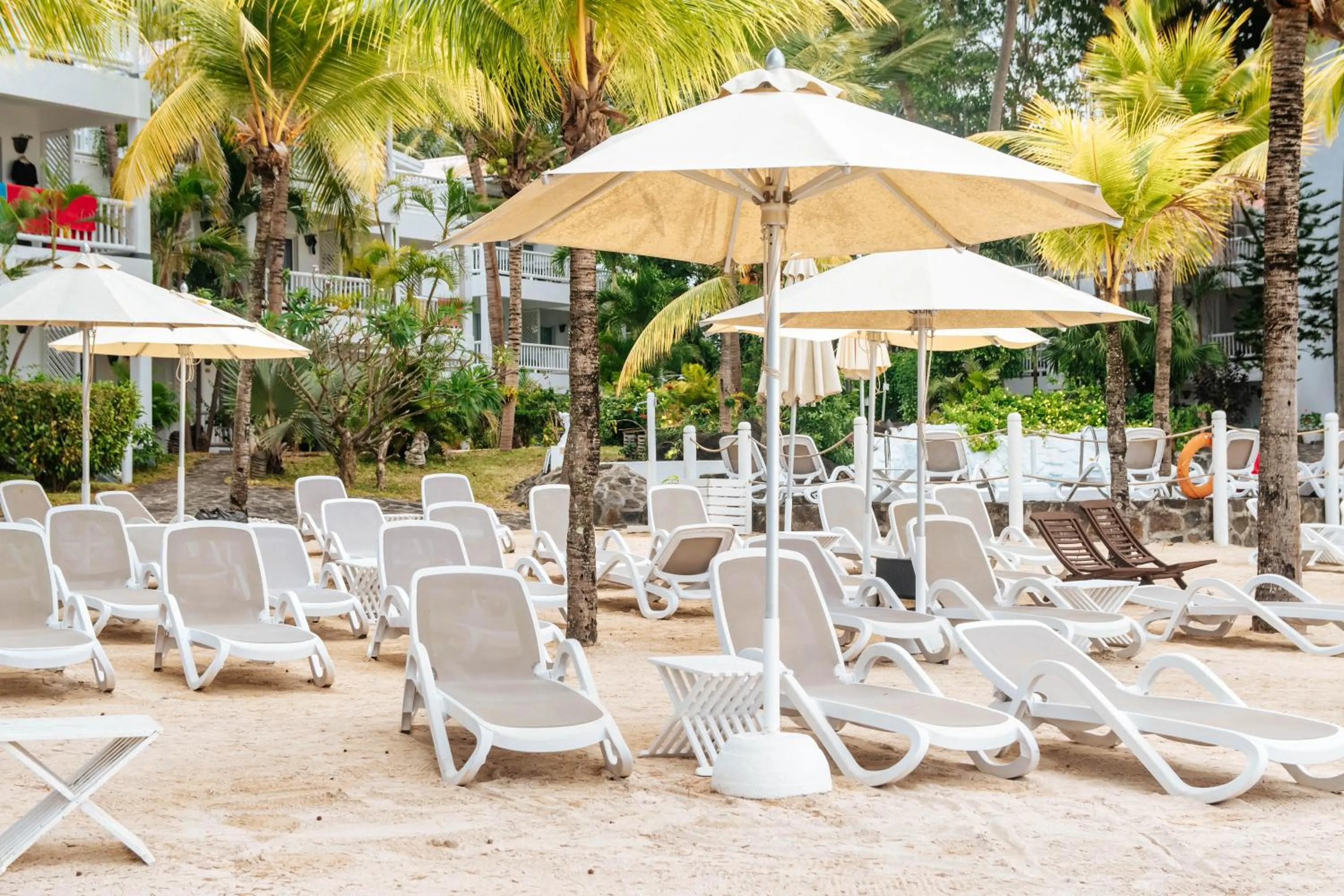 Swimming pool in Hibiscus Boutique Hotel