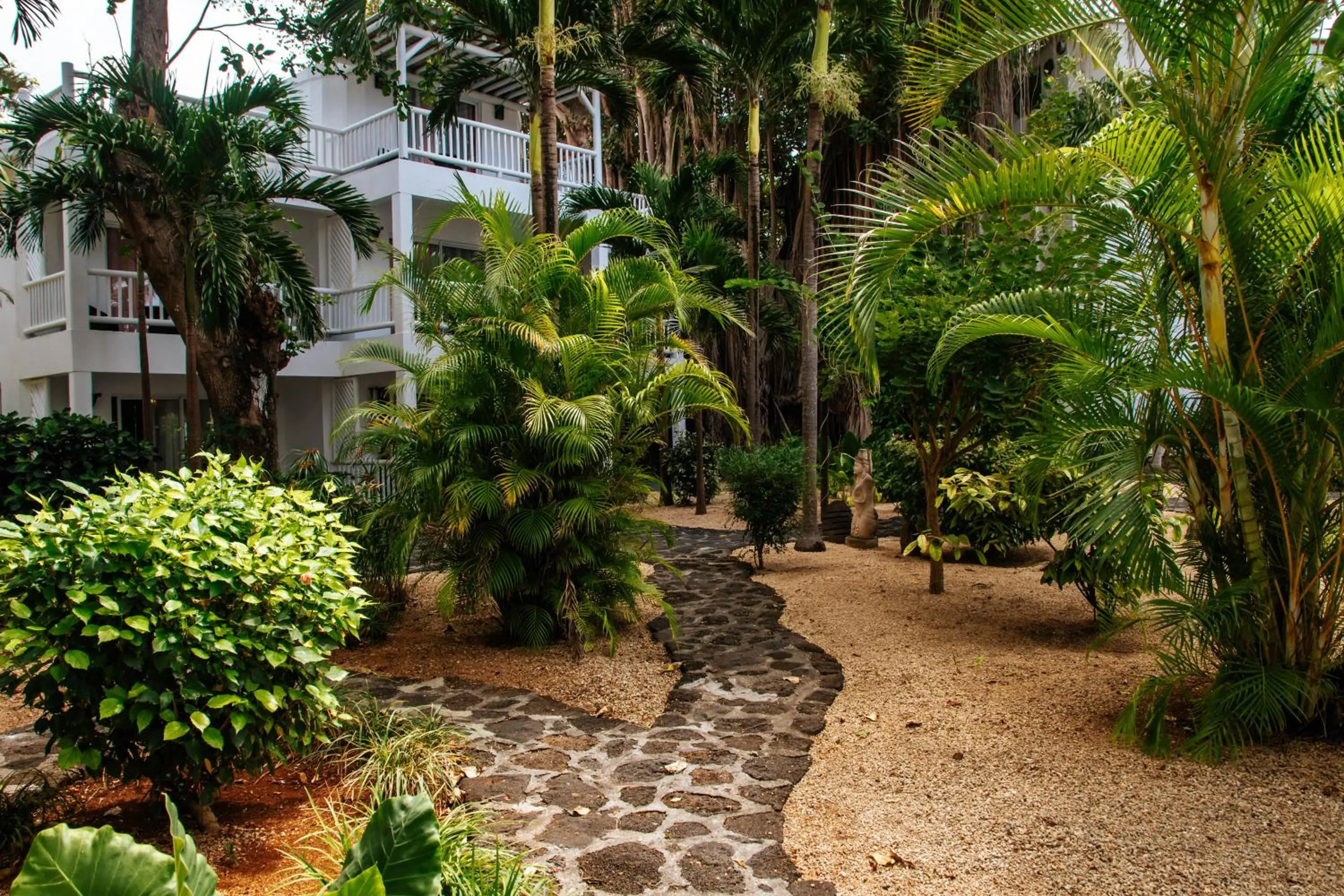 Garden in Hibiscus Boutique Hotel