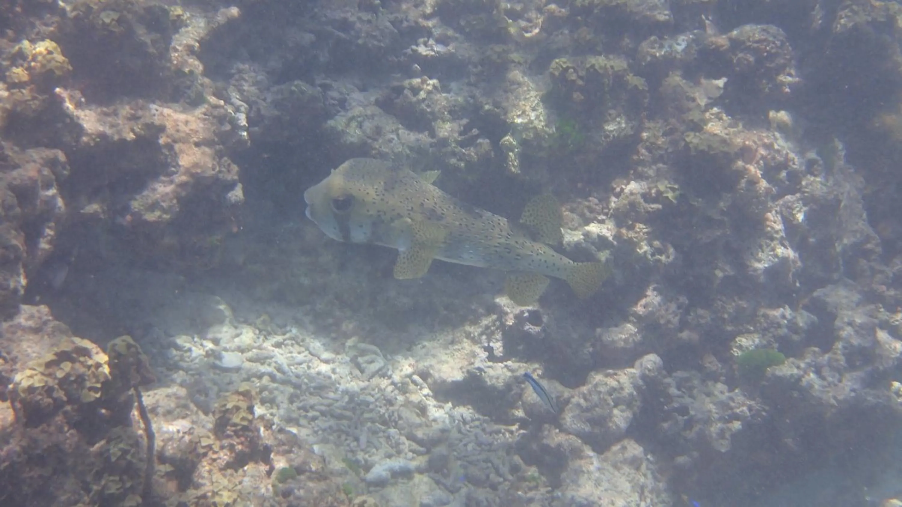 Bird's eye view in Villa Anse La Blague