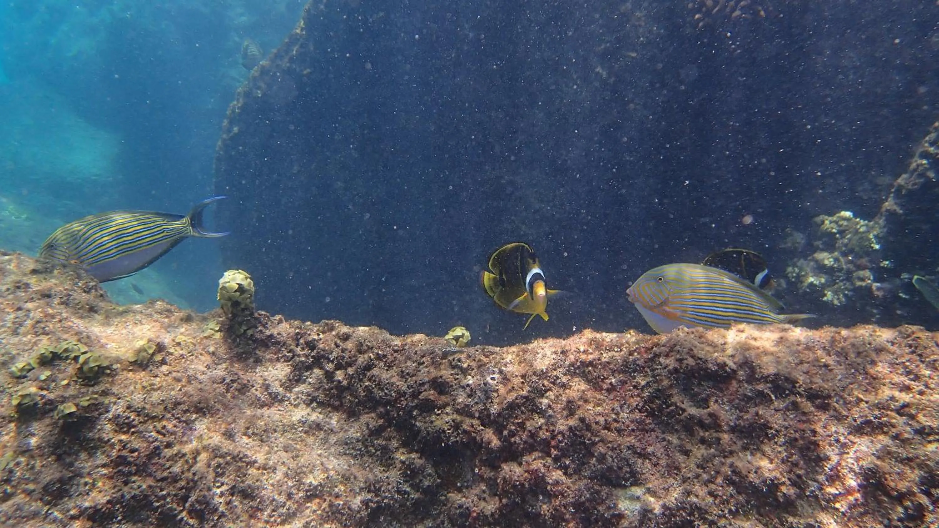 People in Villa Anse La Blague