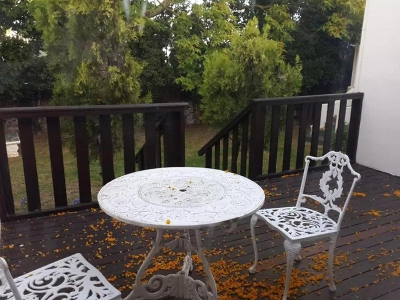 Garden in Somerset Guest Lodge - Western Cape