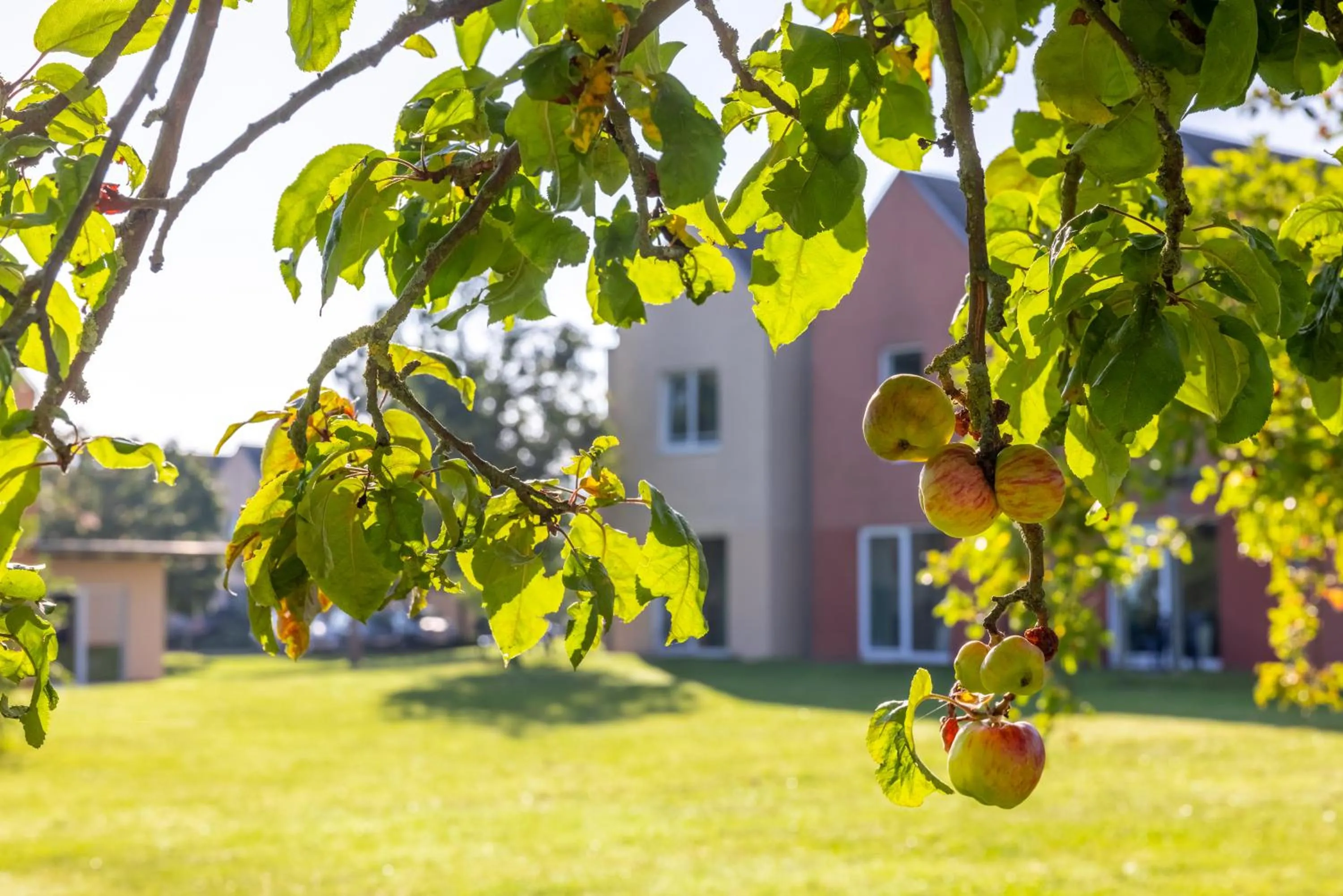 Property building in Eurostrand Resort Moseltal