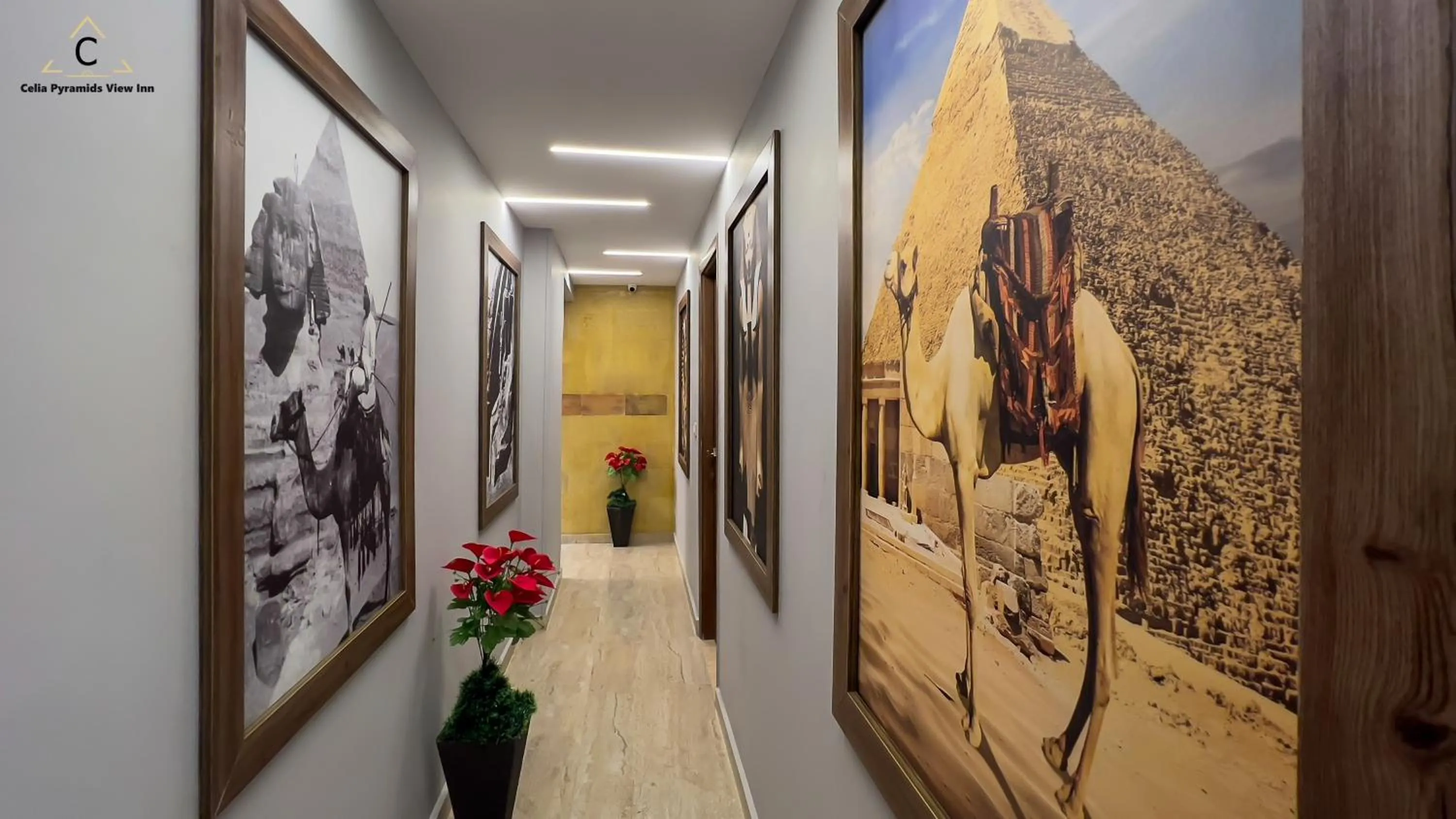 Decorative detail in Celia Pyramids View inn