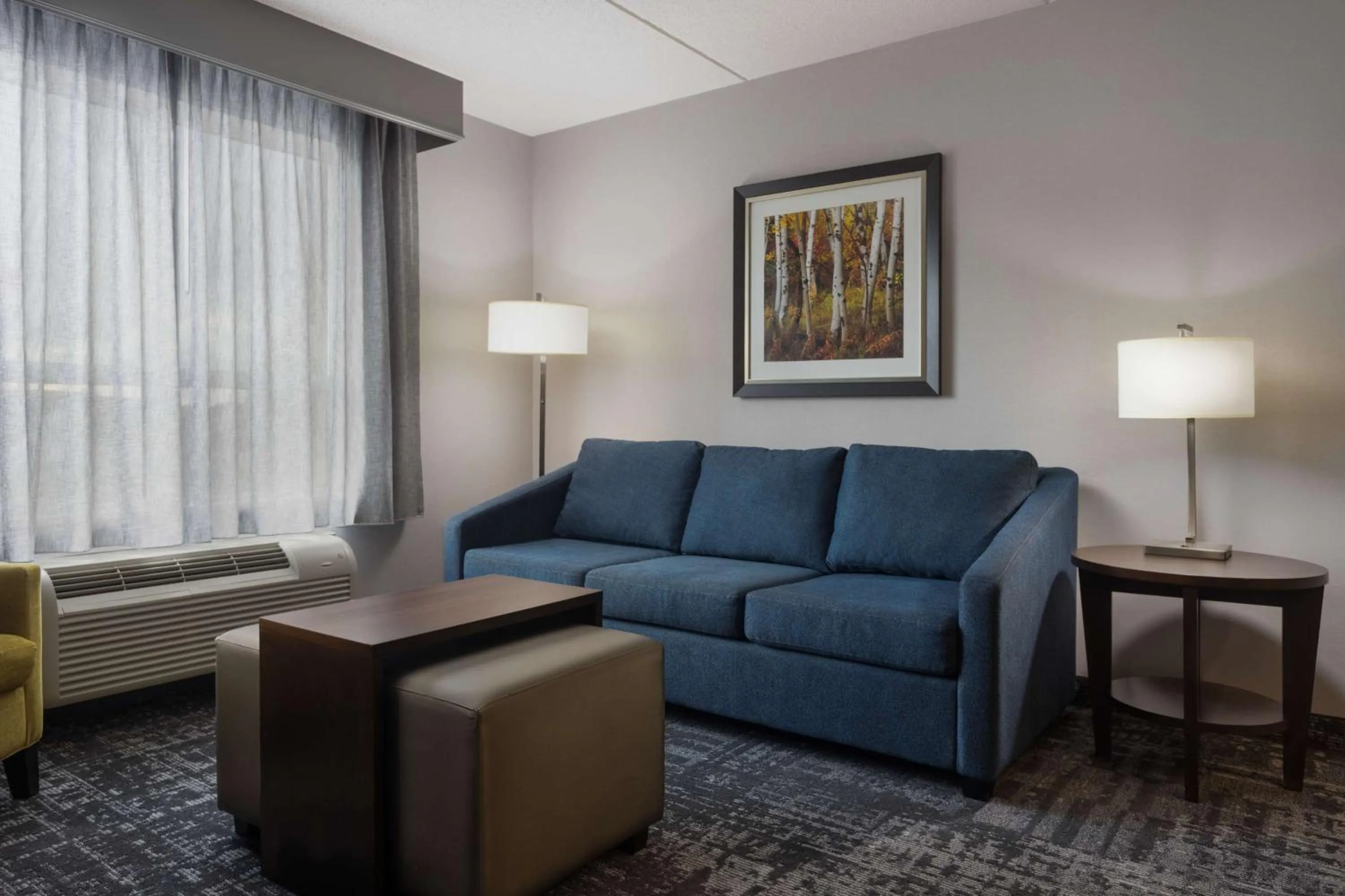 Living room in Homewood Suites by Hilton Waterloo/St. Jacobs