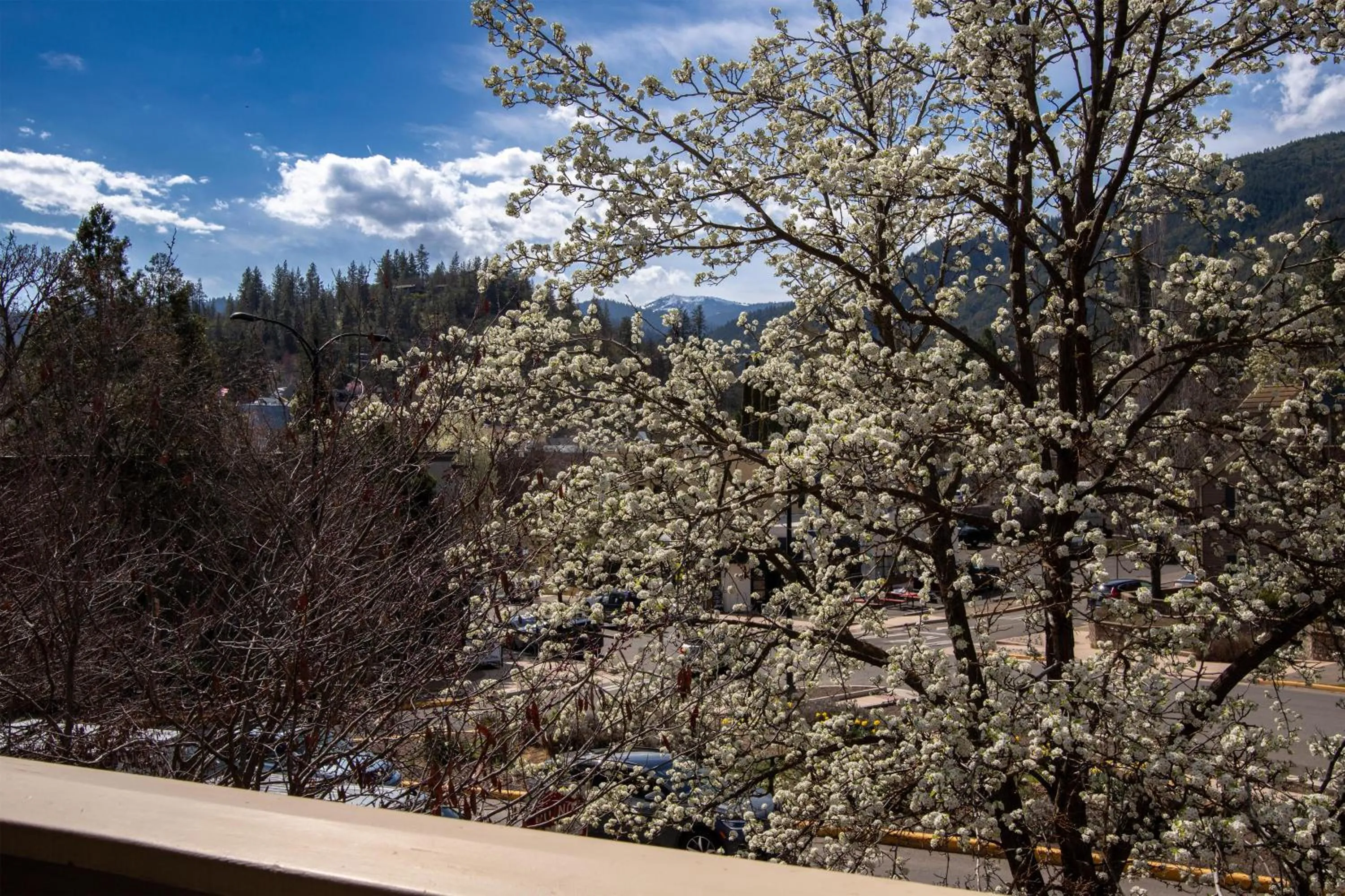 Other in The Bard's Inn - BW Signature Collection by Best Western