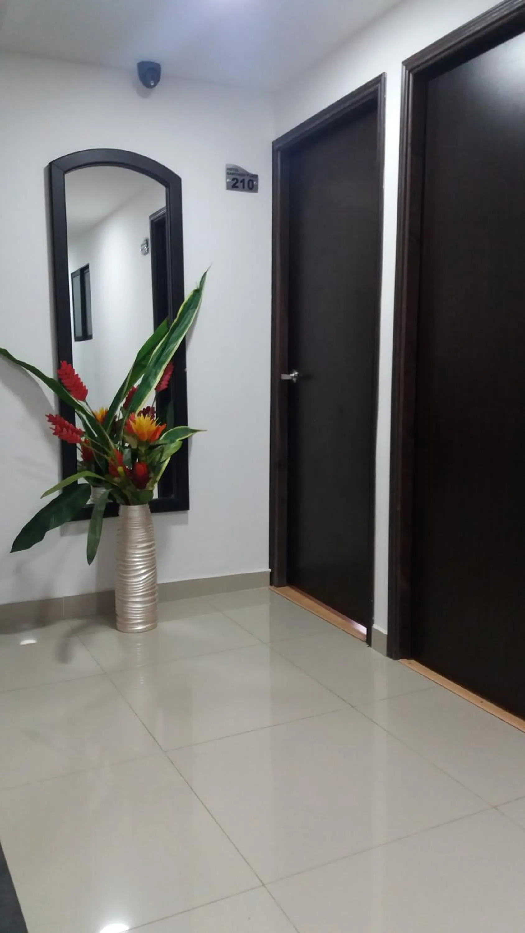 Area and facilities in Hotel Santiago Plaza