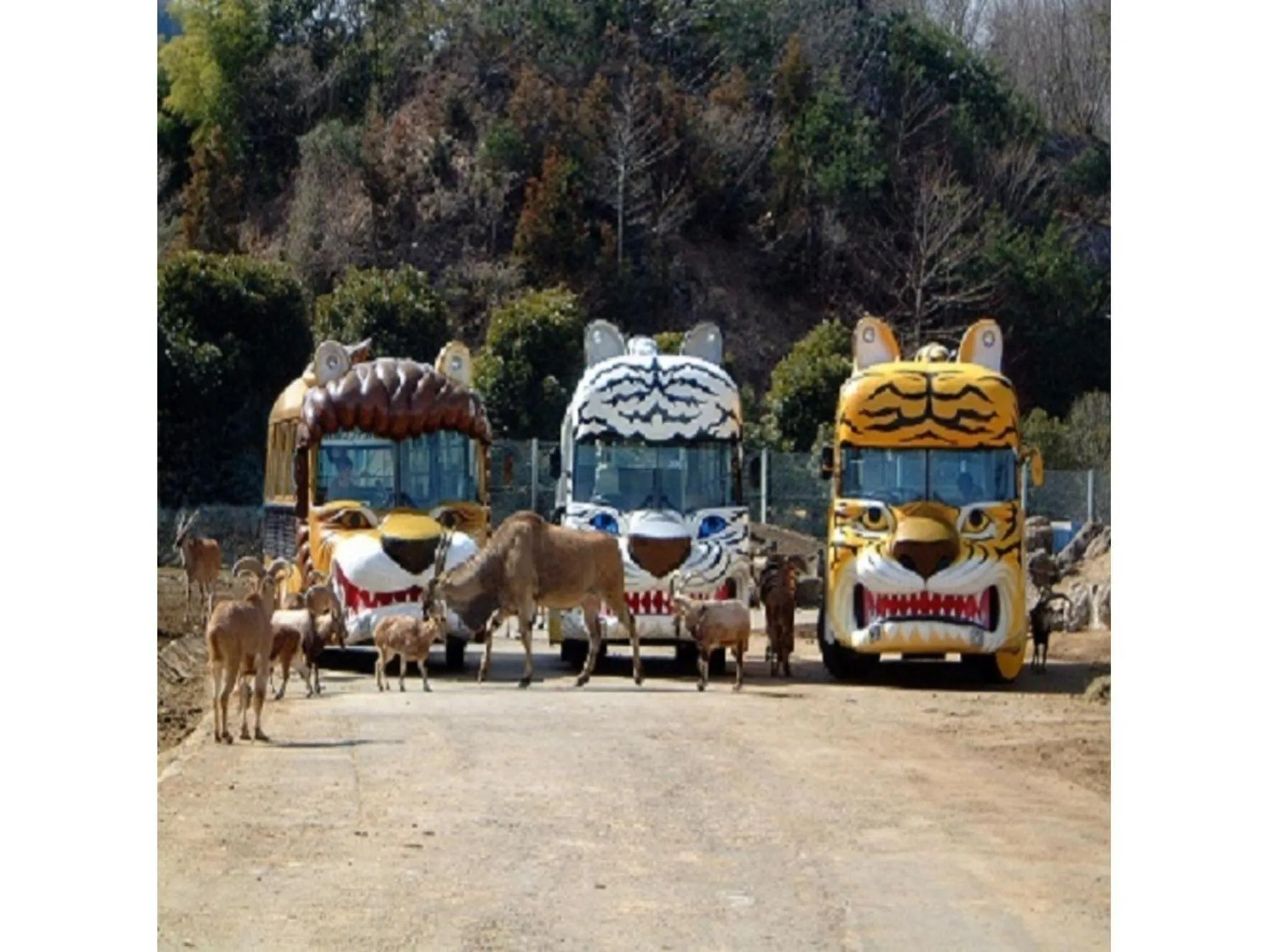 Ikaho Onsen Sanyo Hotel - Vacation STAY 26406v